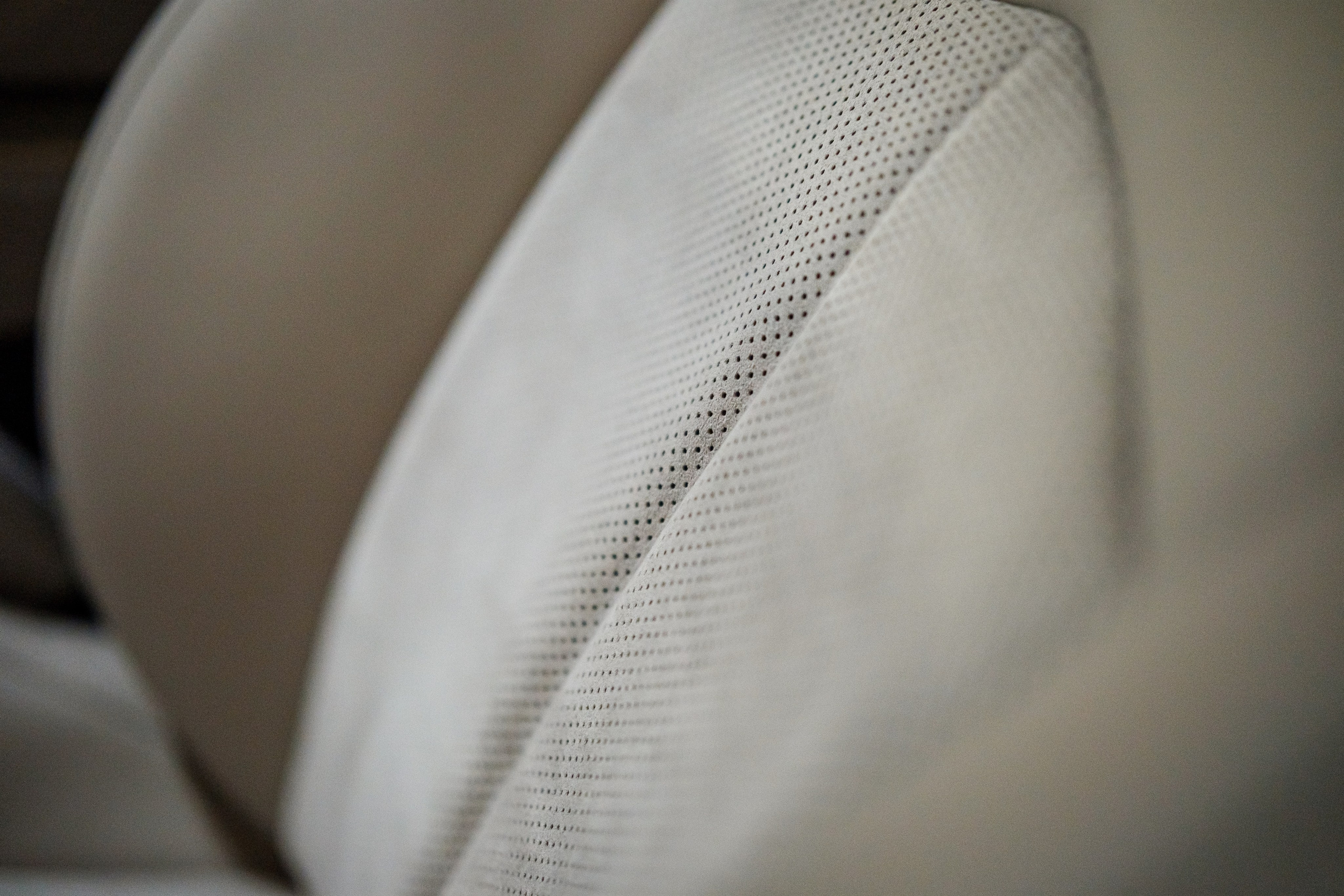 Кэдди. Алексей Никифоров фотограф Москва, Химки