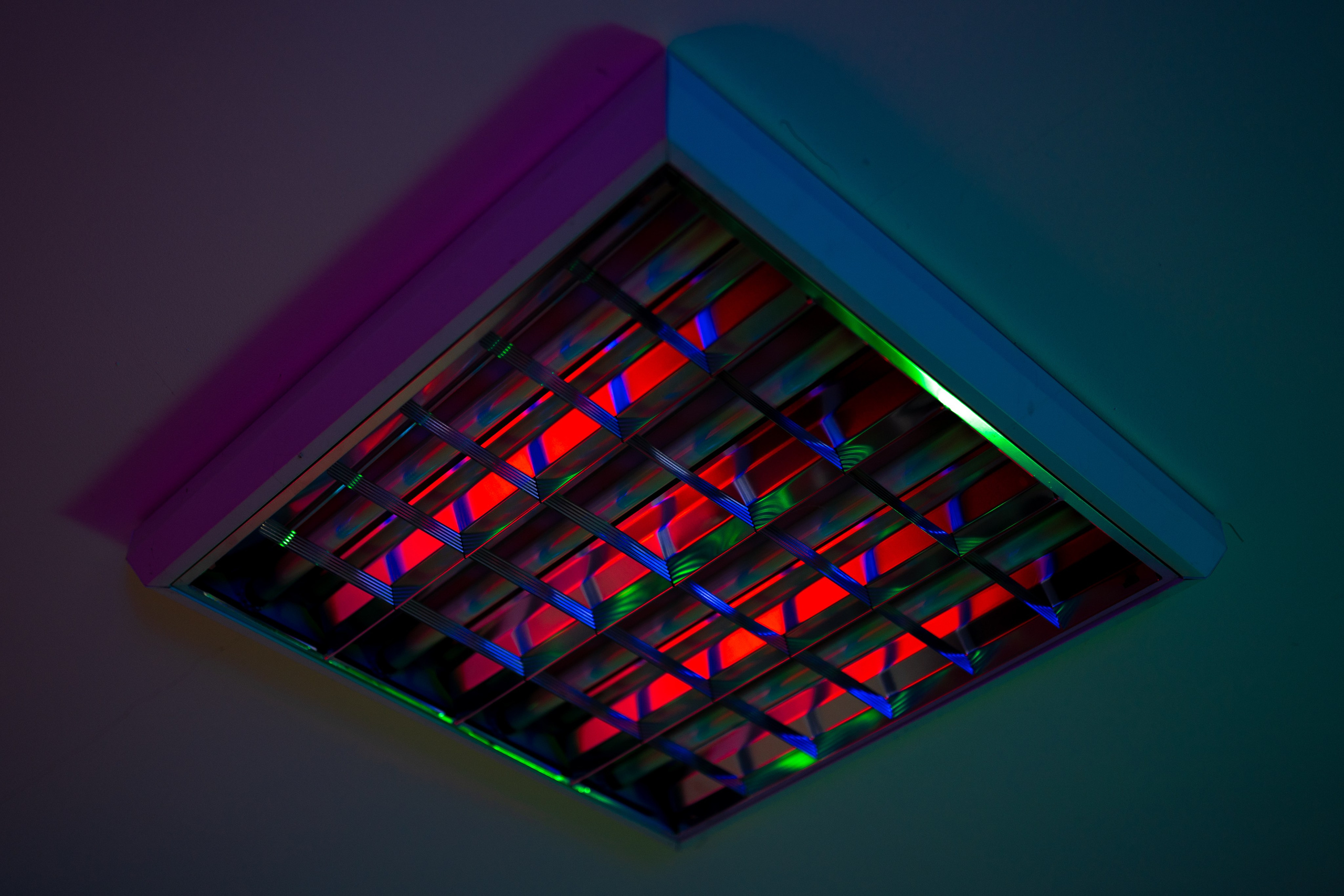 ЦВЕТНЫЕ ФОТОГРАФИИ. Никита Аничкин фото и видео оператор из России