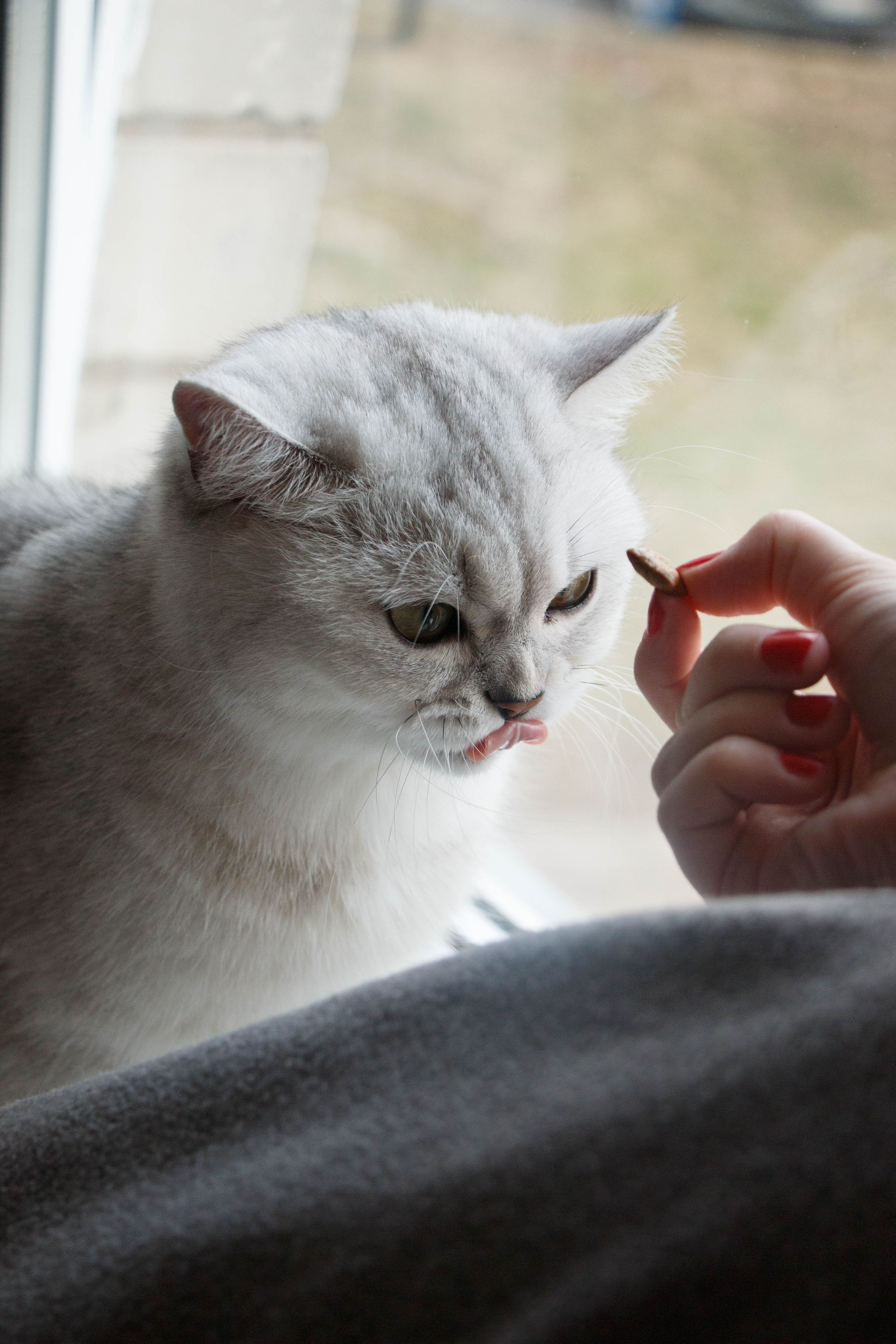 NASTYA & KITTI. Бережно сохраняю ваши чувства и истории на своих фотографиях