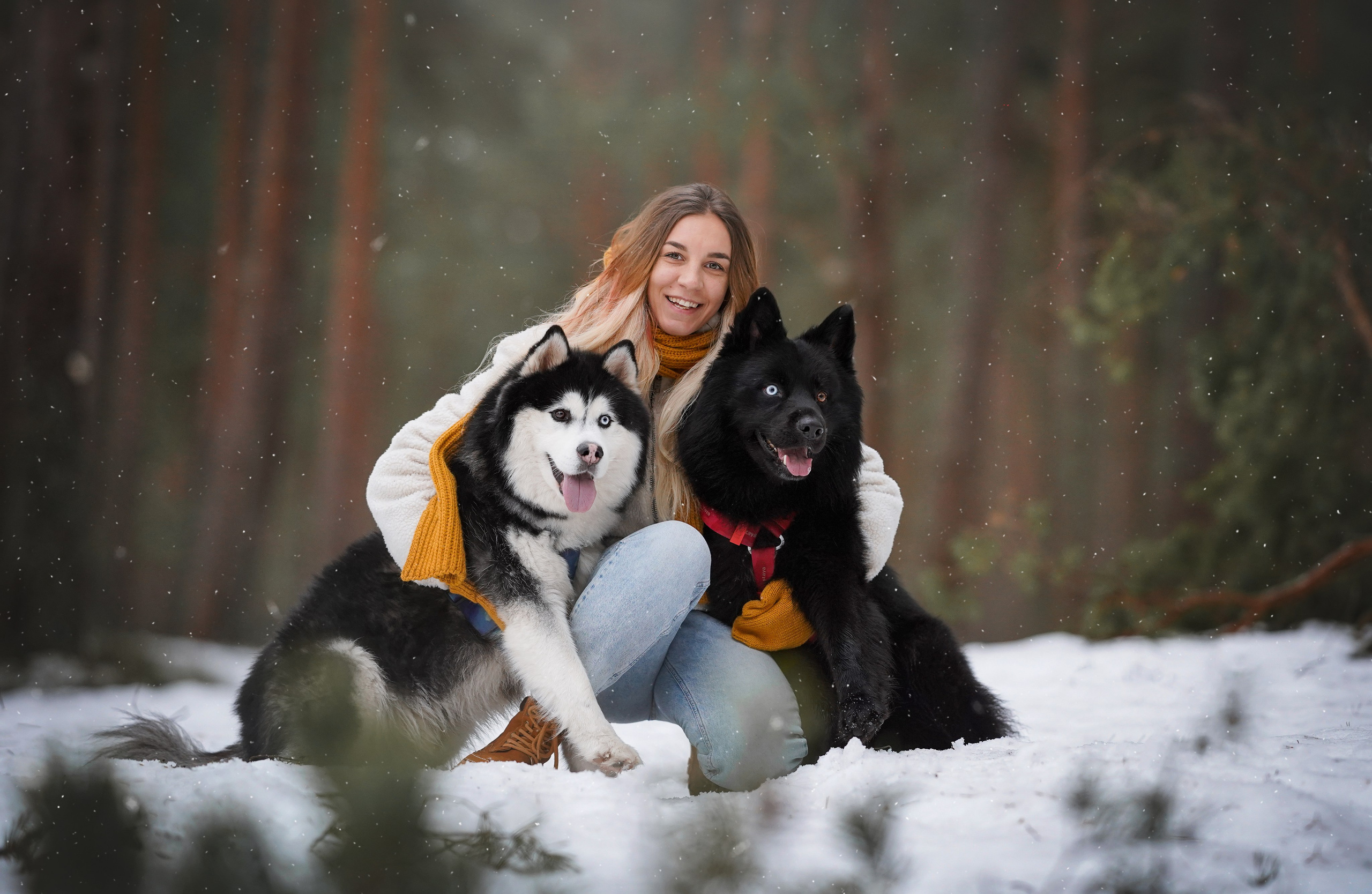 Лора Джанго и Хэппи. Фотограф-анималист в Санкт-Петербурге Яна Мартынова