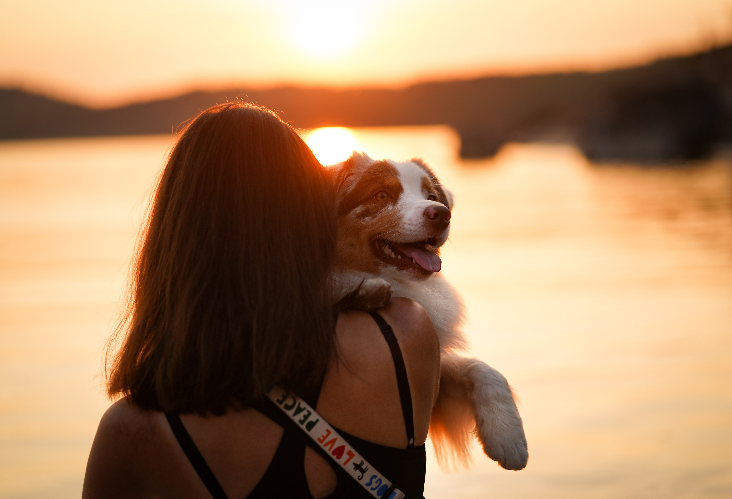Панда SUP. Фотограф-анималист в Санкт-Петербурге Яна Мартынова