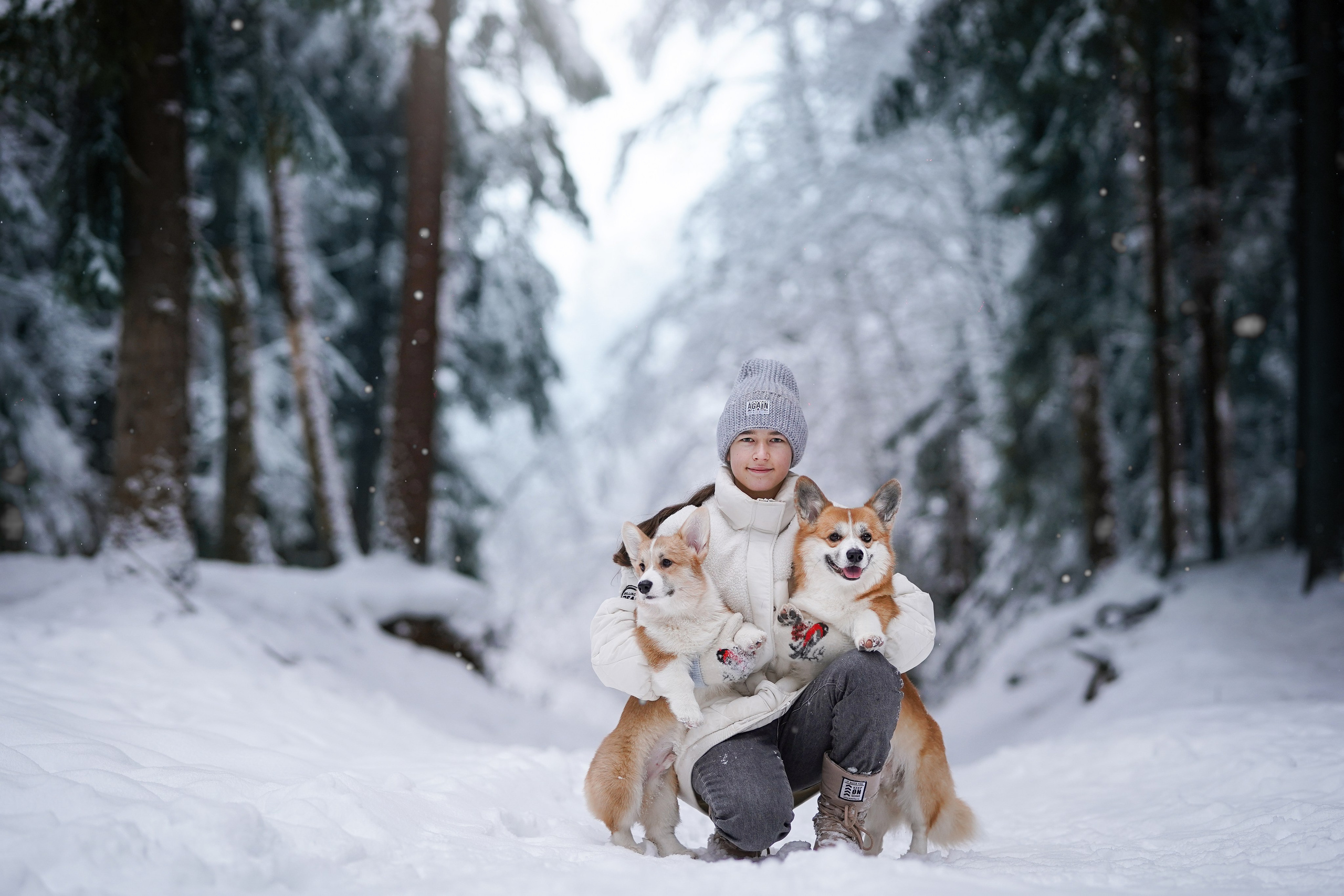 Катя Рокки и Честер. Фотограф-анималист в Санкт-Петербурге Яна Мартынова