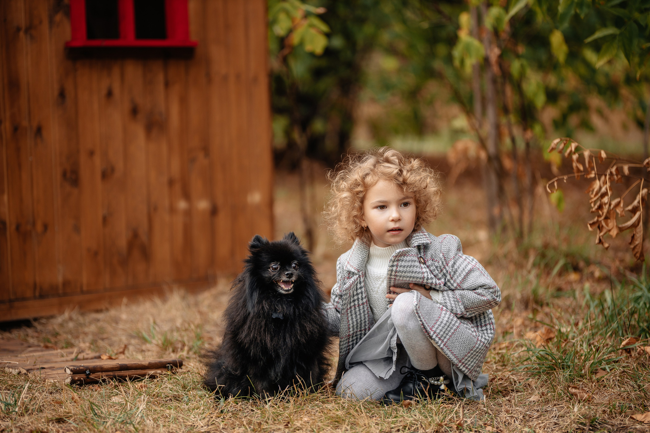 Фотосессия с собаками