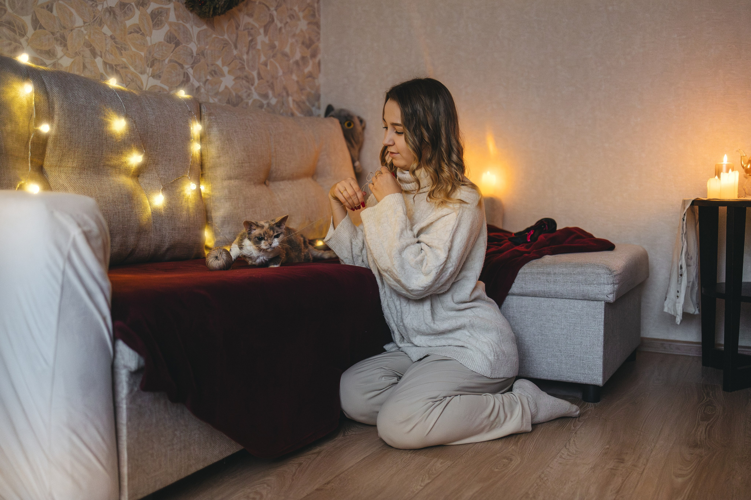 Домашняя новогодняя. Фотограф Анималист в Москве Анастасия Жучкова