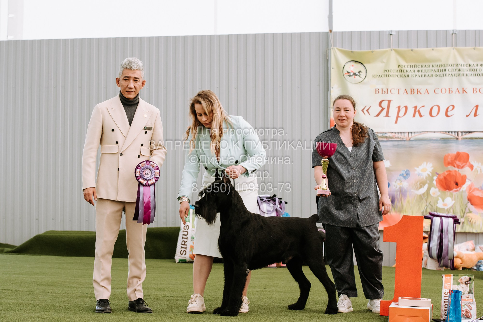 Выставка собак Красноярск 2.06. Фотограф Диана Оленина Красноярск / Братск