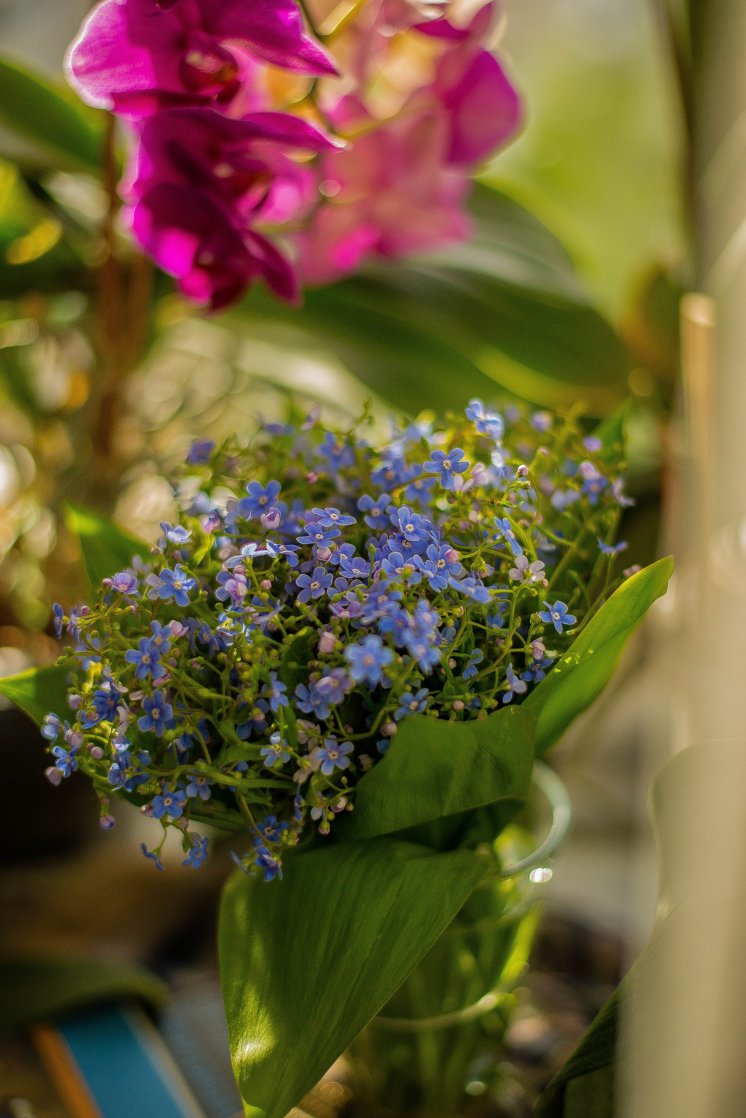 ПРЕДМЕТНАЯ/ МАКРО. Фотограф Фомина Екатерина Сергеевна