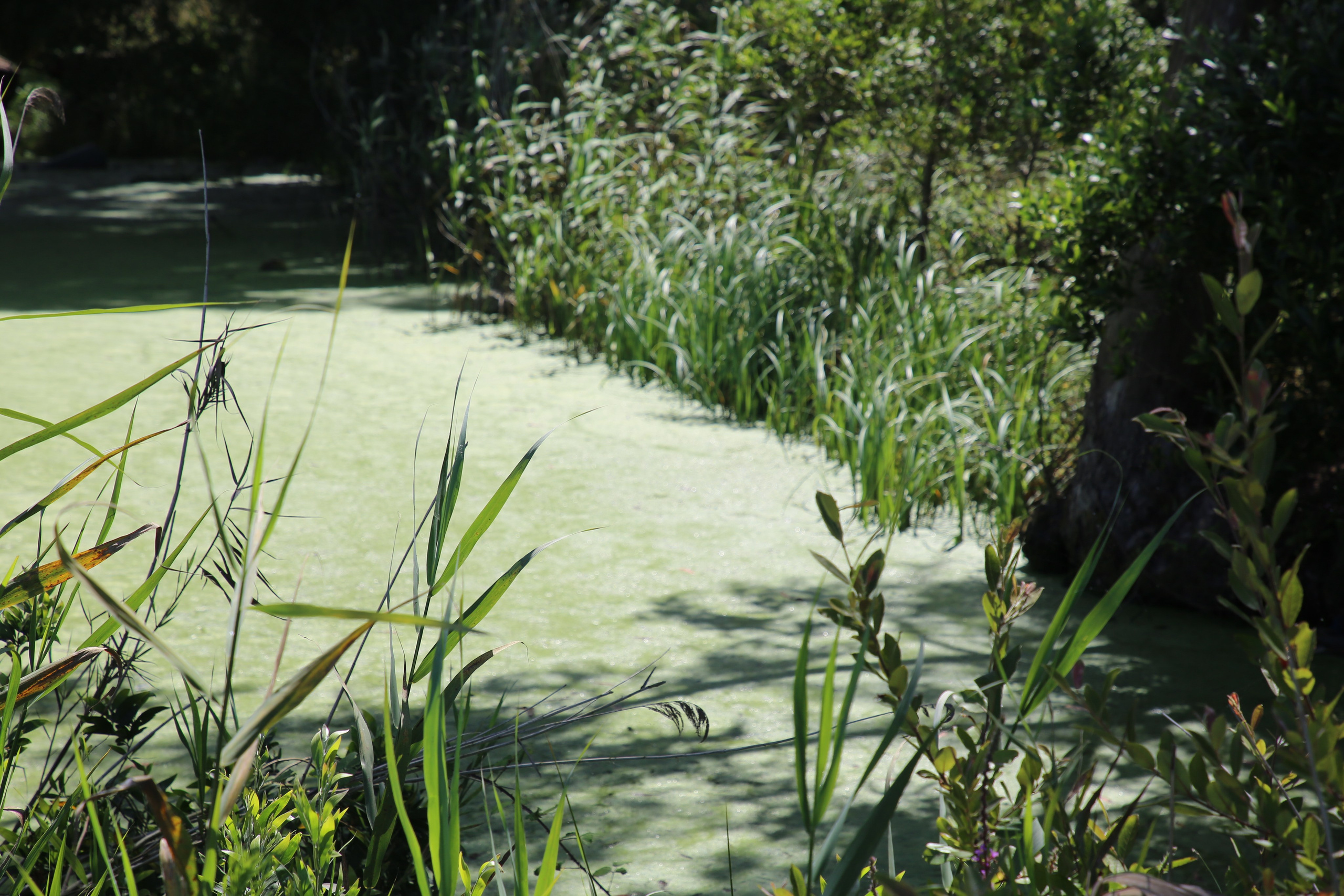 Esmoriz, Portugal. Andrey Filippov Photographer