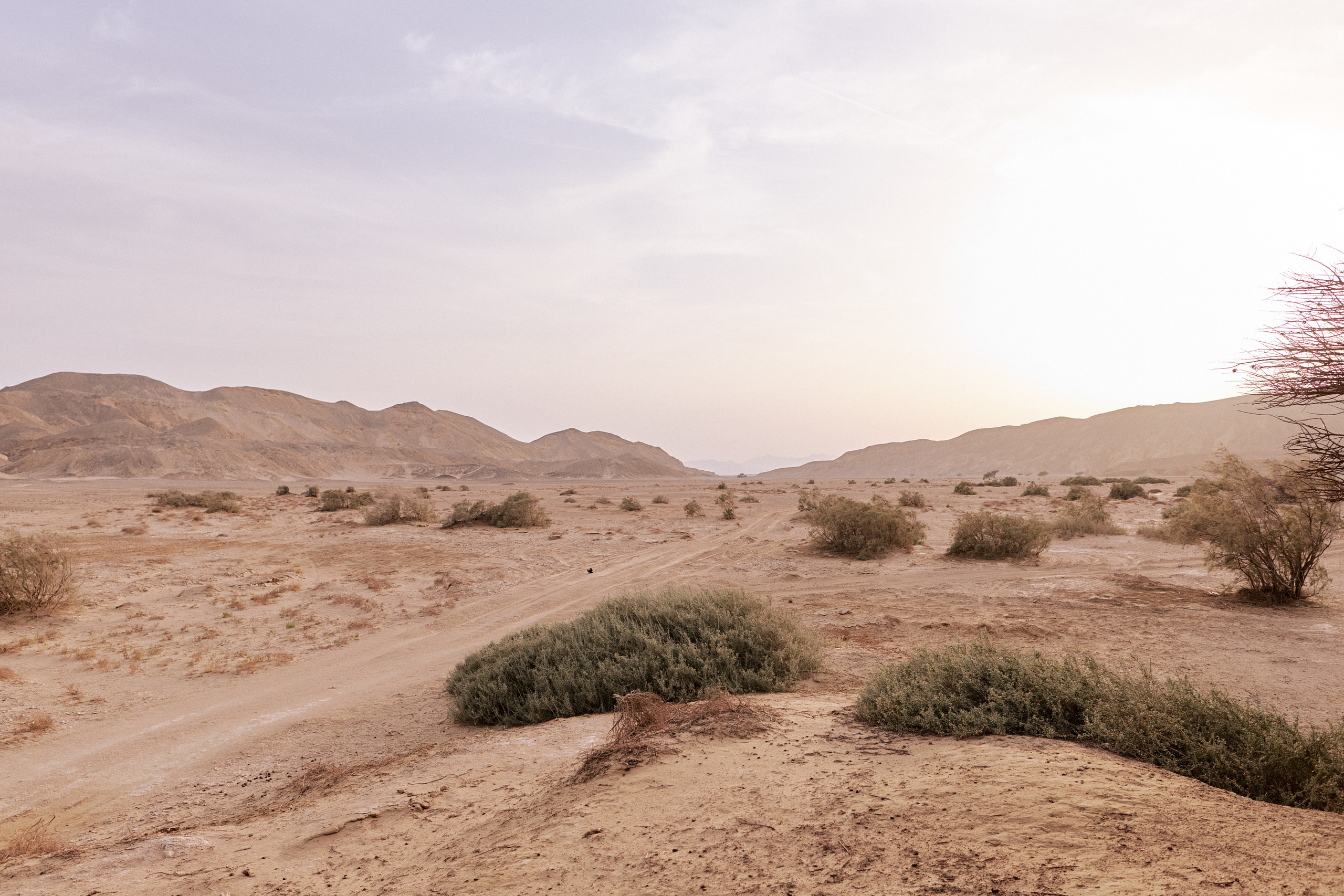 Улица горизонтальная. Jorgis — фотограф в Хургаде / обучение фотографии