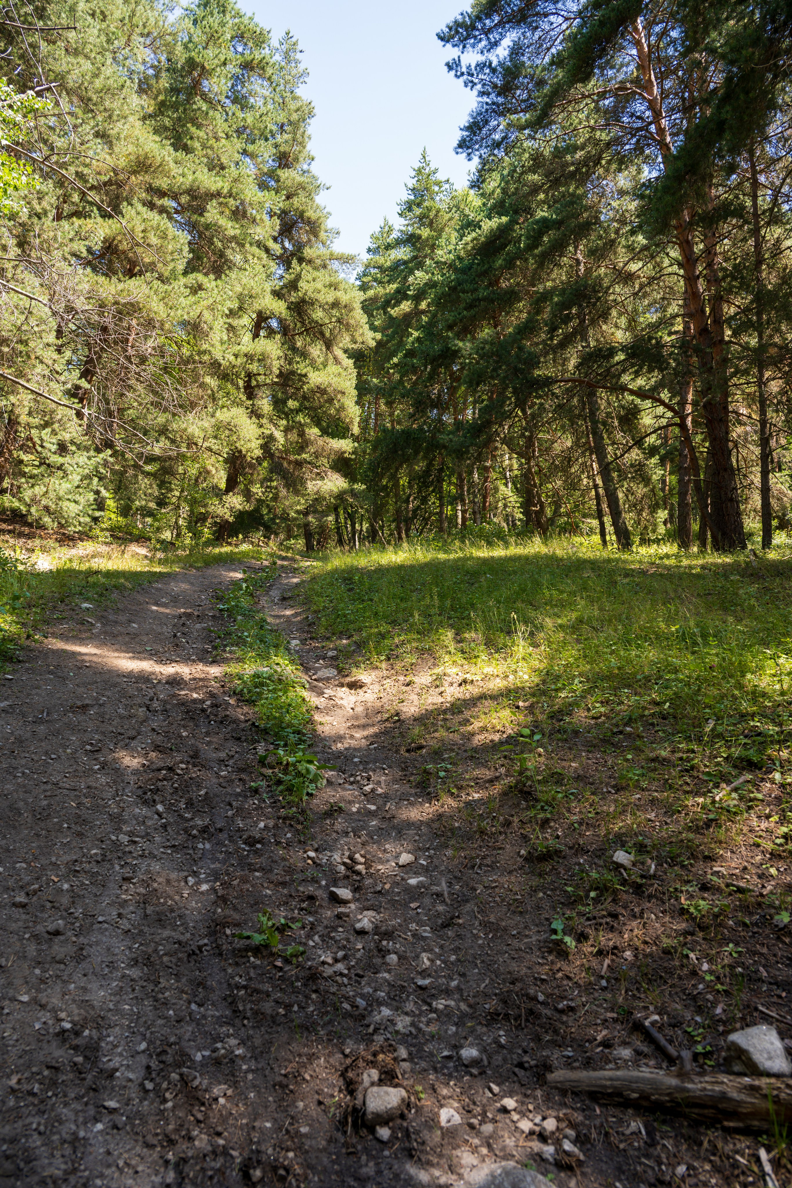 Экспедиция 2025