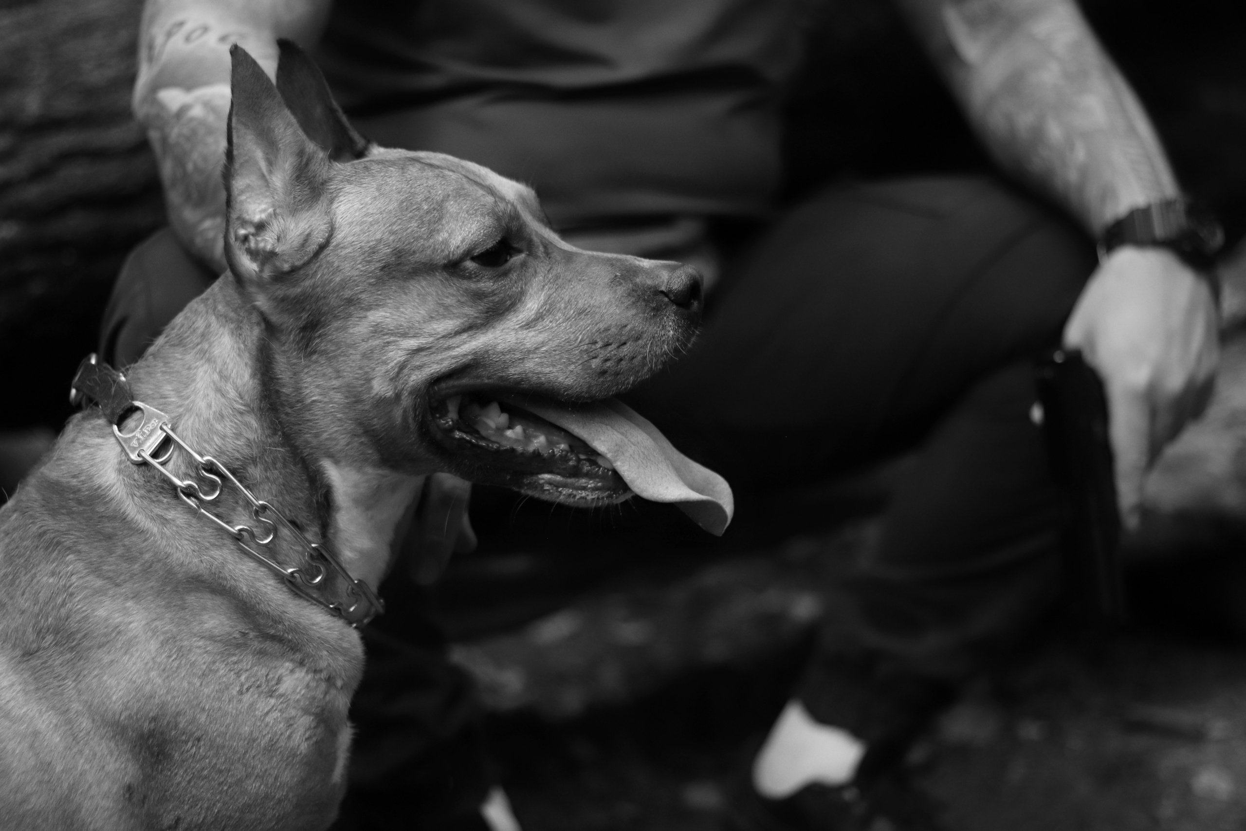 Power. DariaVolz — photo shoots in Europe and Russia