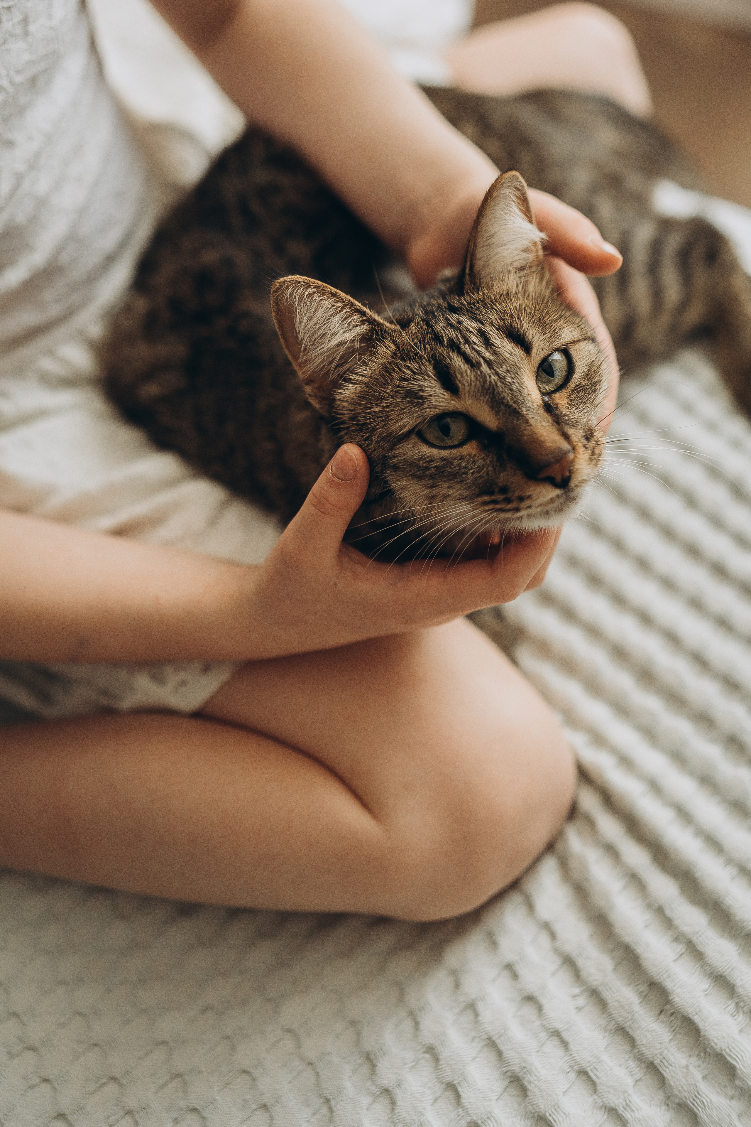 Домашняя: Дилара, Владимир, Дина и Родион. Семейный и домашний фотограф в Уфе Ирина Гарасюта