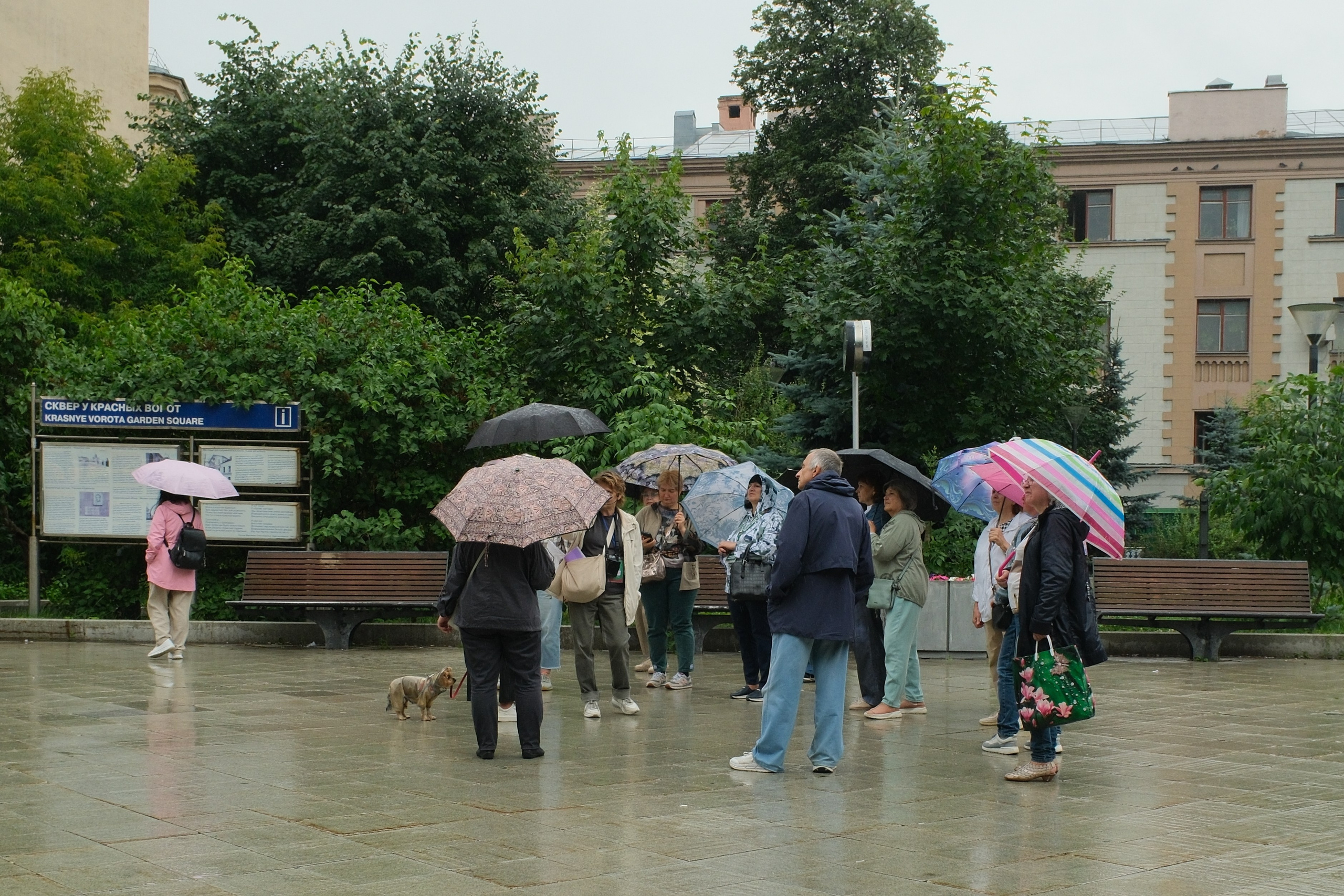 Улица, люди, жизнь…