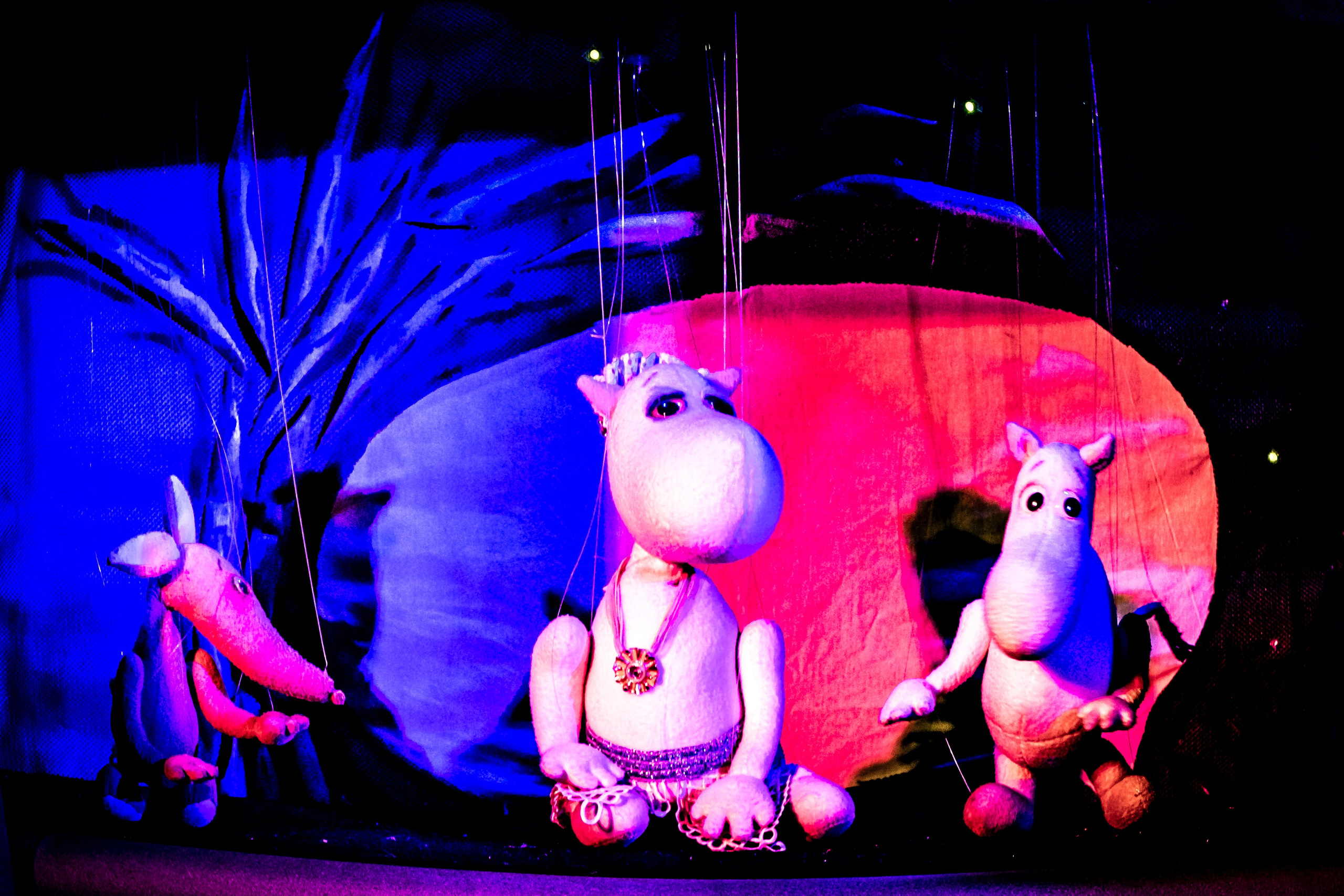 «Муми тролли и большое наводнение». Фотограф в Сочи Юрий Шептаев