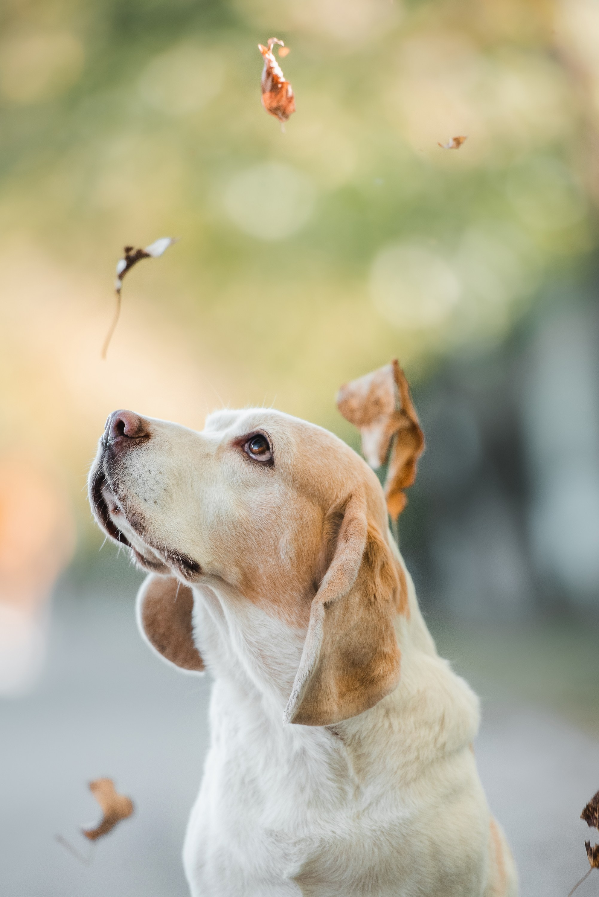 Оля и Ника. Семейный Фотограф в Москве Ирина Хохлова
