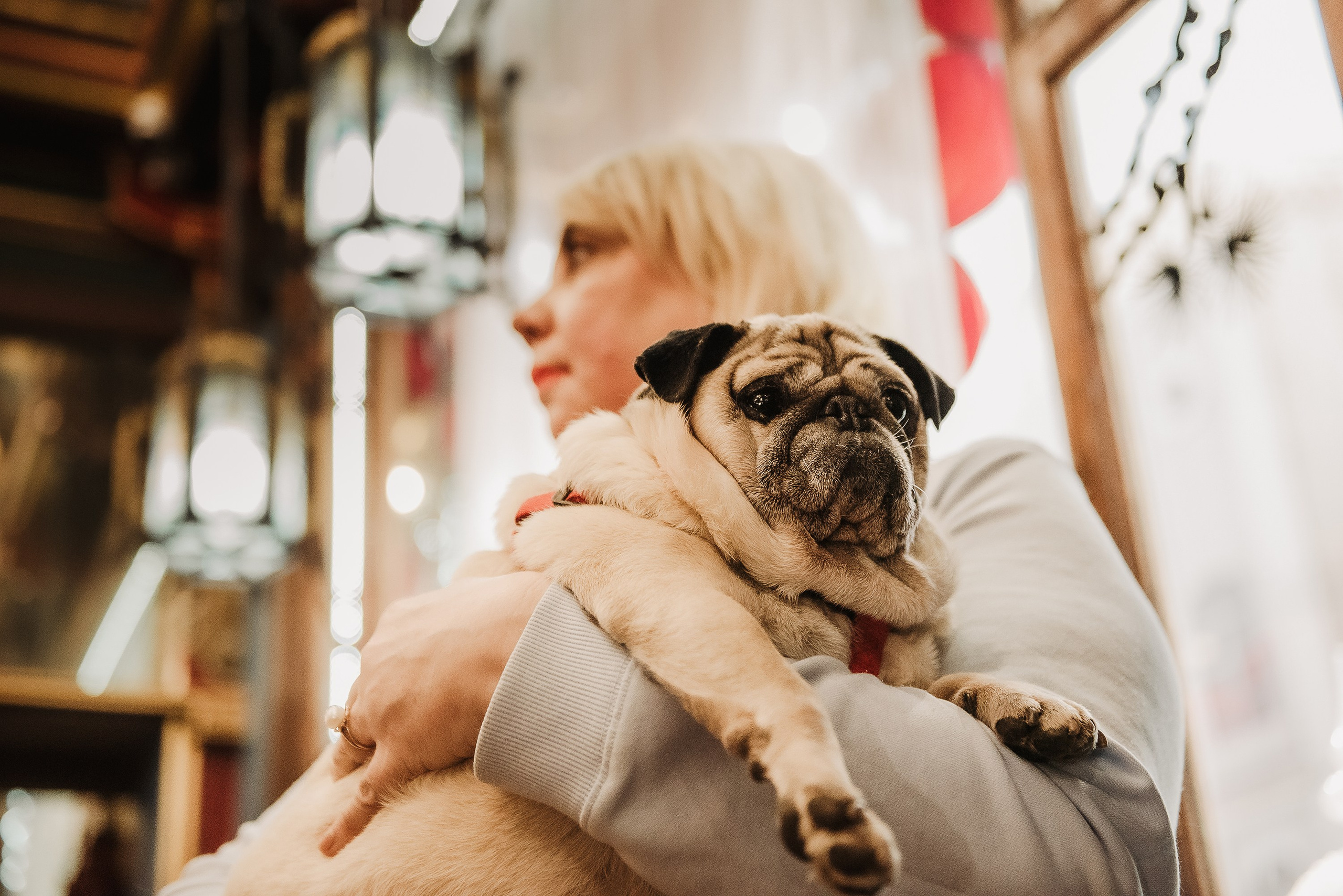 Ольга и Потапум. Прогулка к чайному дому. Семейный Фотограф в Москве Ирина Хохлова