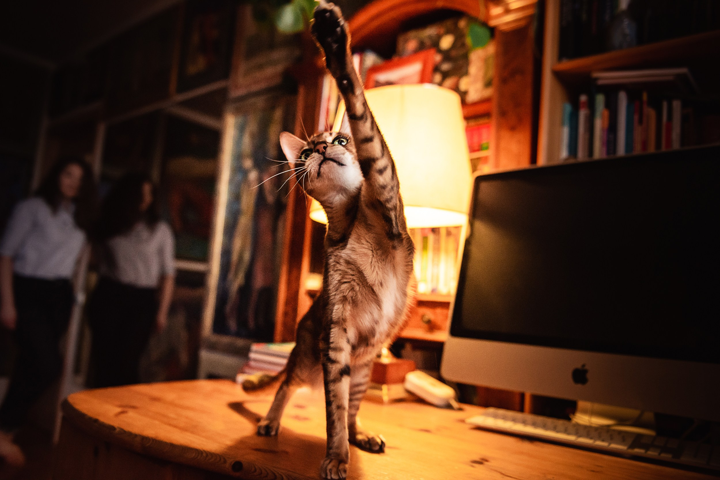 Квартира с картинами. Алиса, Андрей и их пушистая семья. Семейный Фотограф в Москве Ирина Хохлова