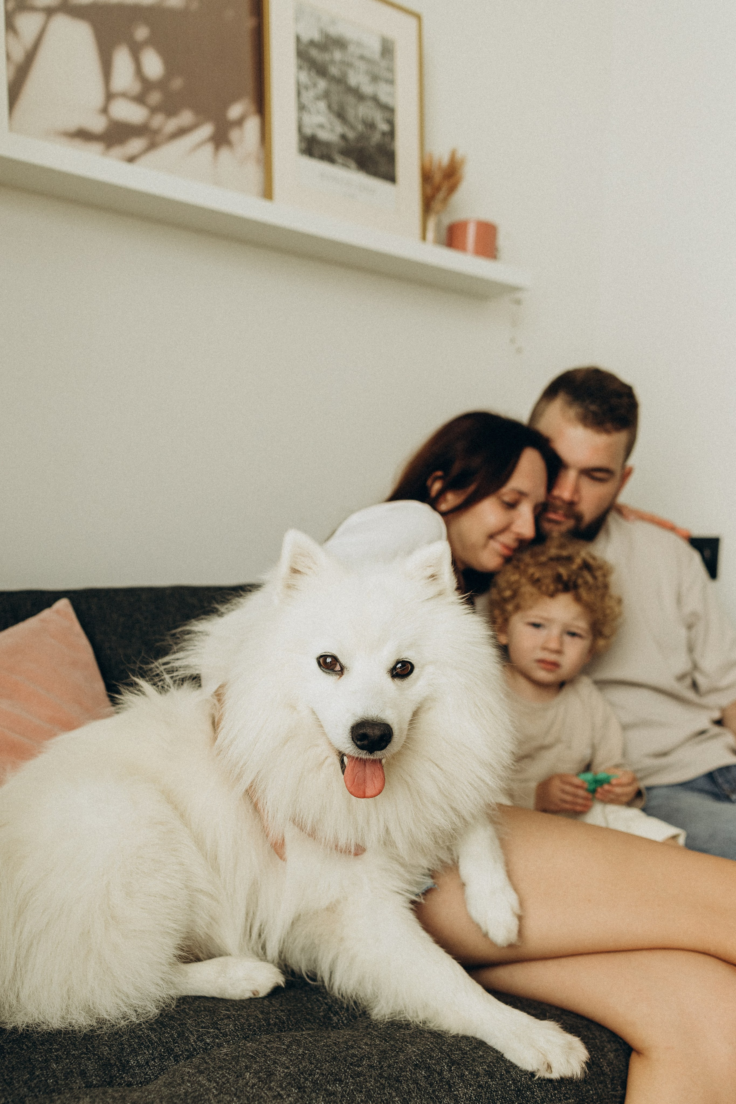 Рома, Таня, Миша. Семейный фотограф новорожденных УФА Гульнара Зиновьева