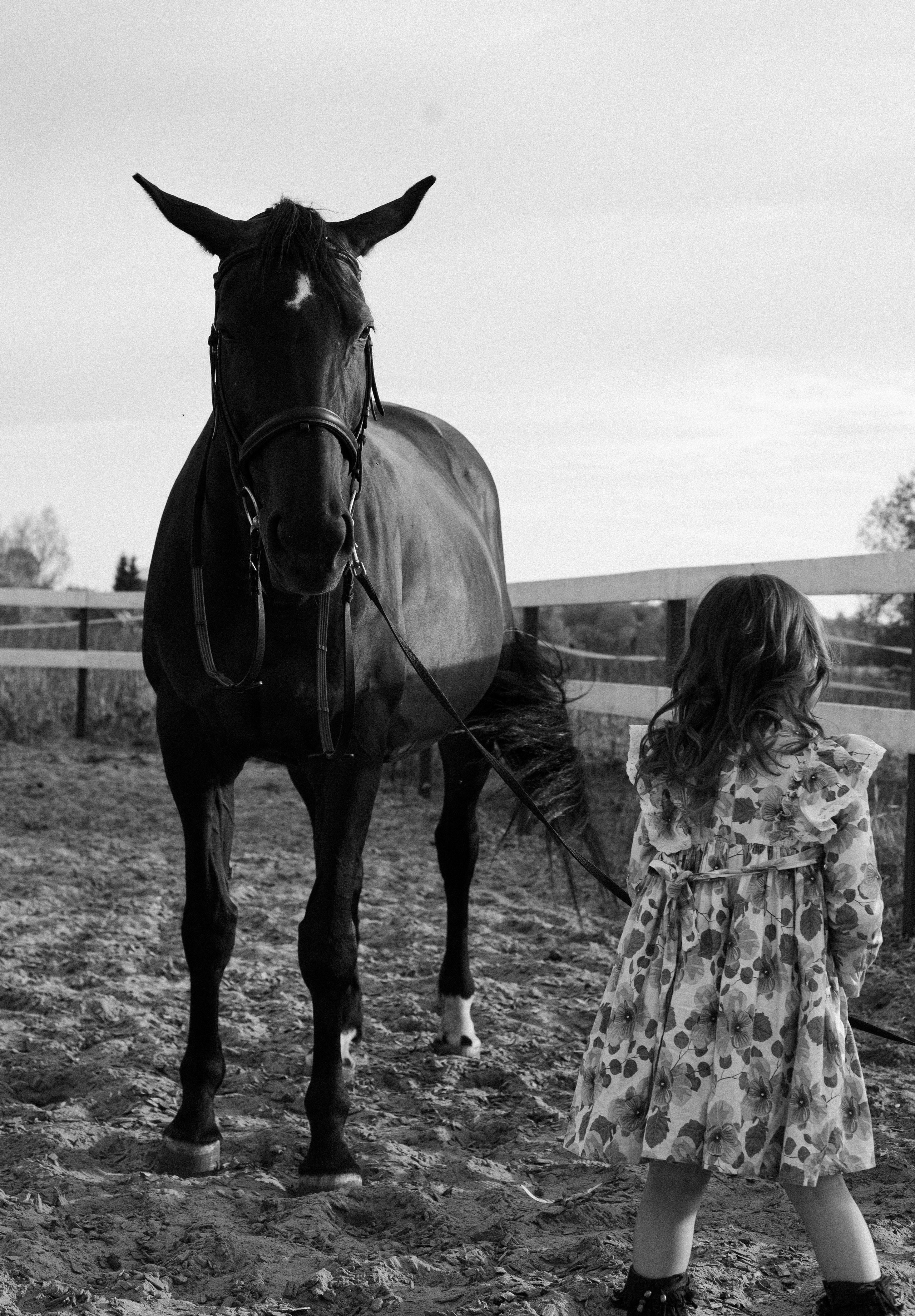 Семейные. Tenny-Tiny Ph