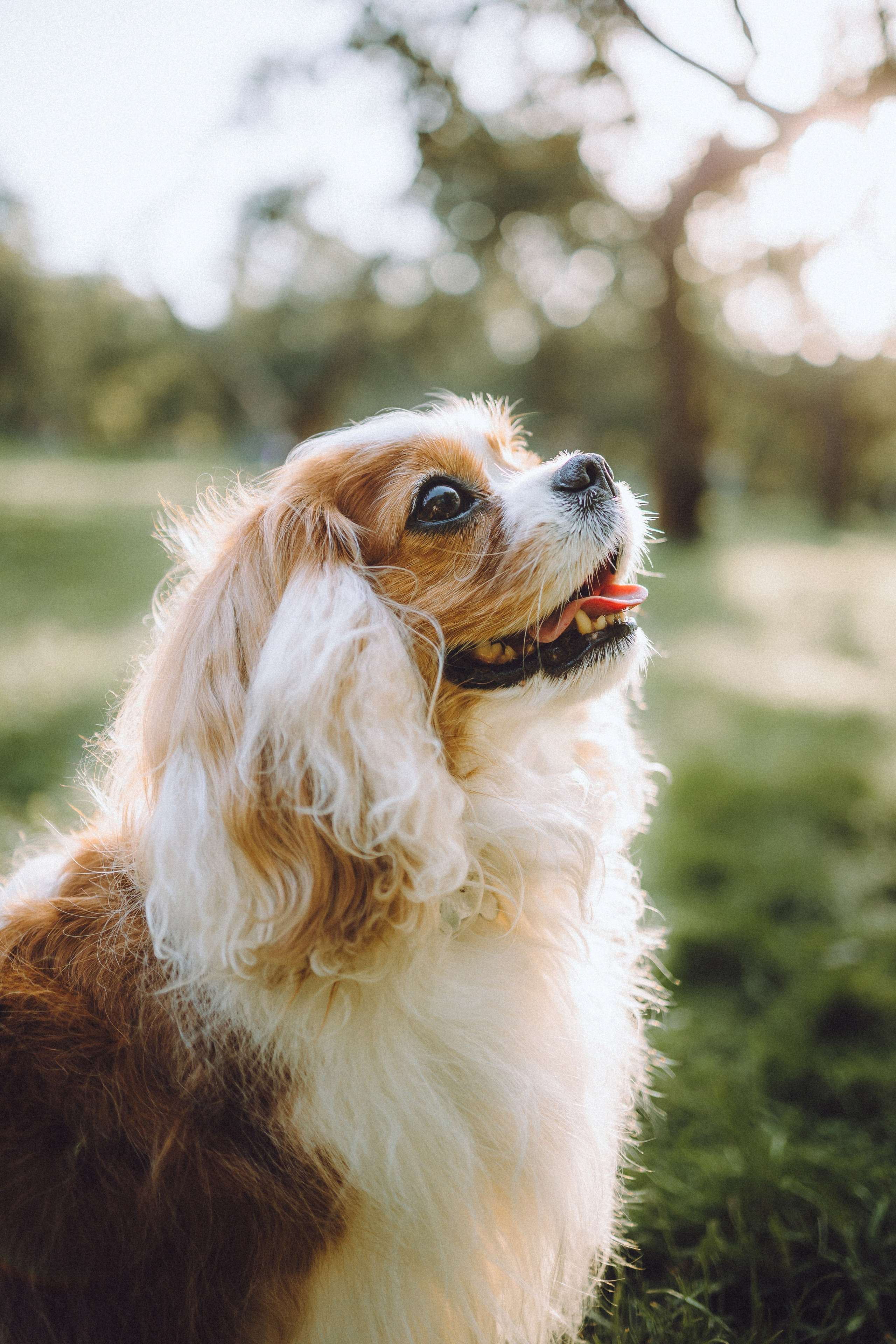 Наташа и Вики