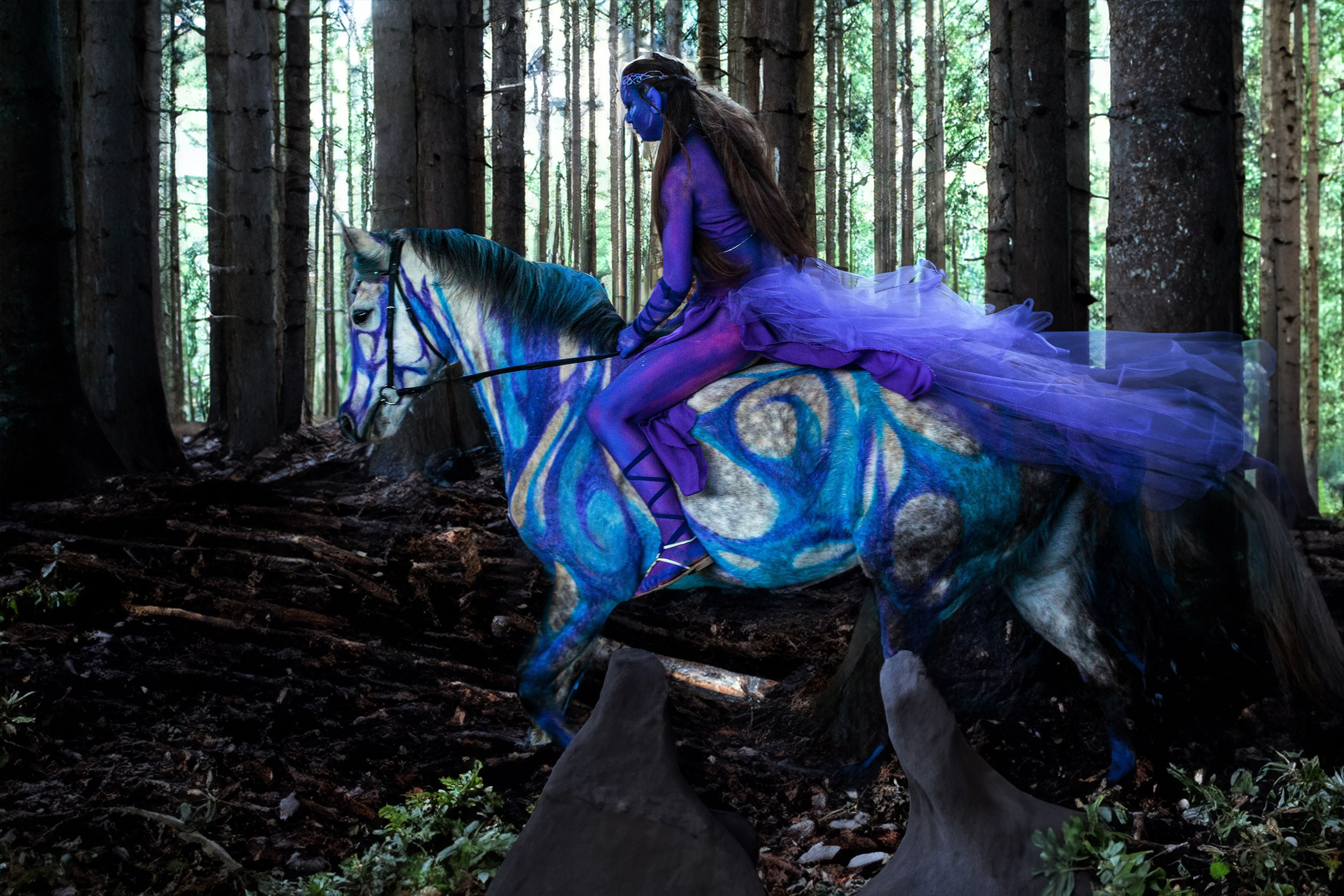 Аватар. Конный фотограф в Красноярске — Любовь Похабова