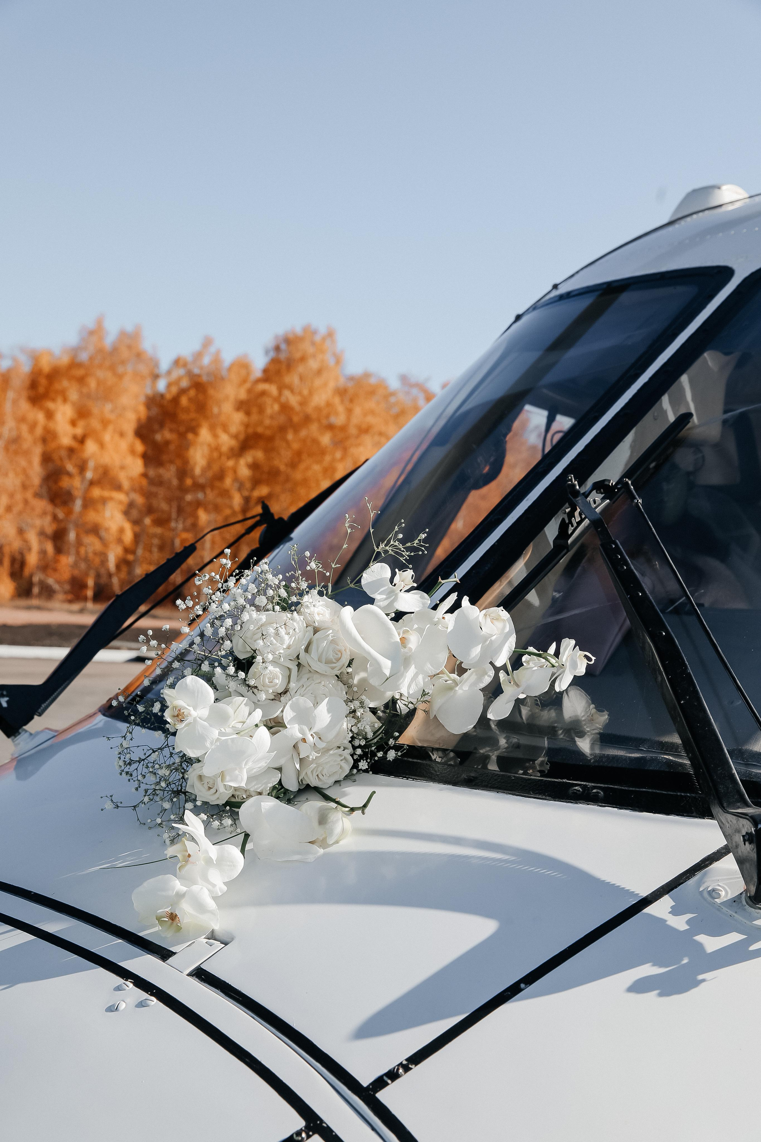 Игорь и Алина. Свадебный фотограф Виктория