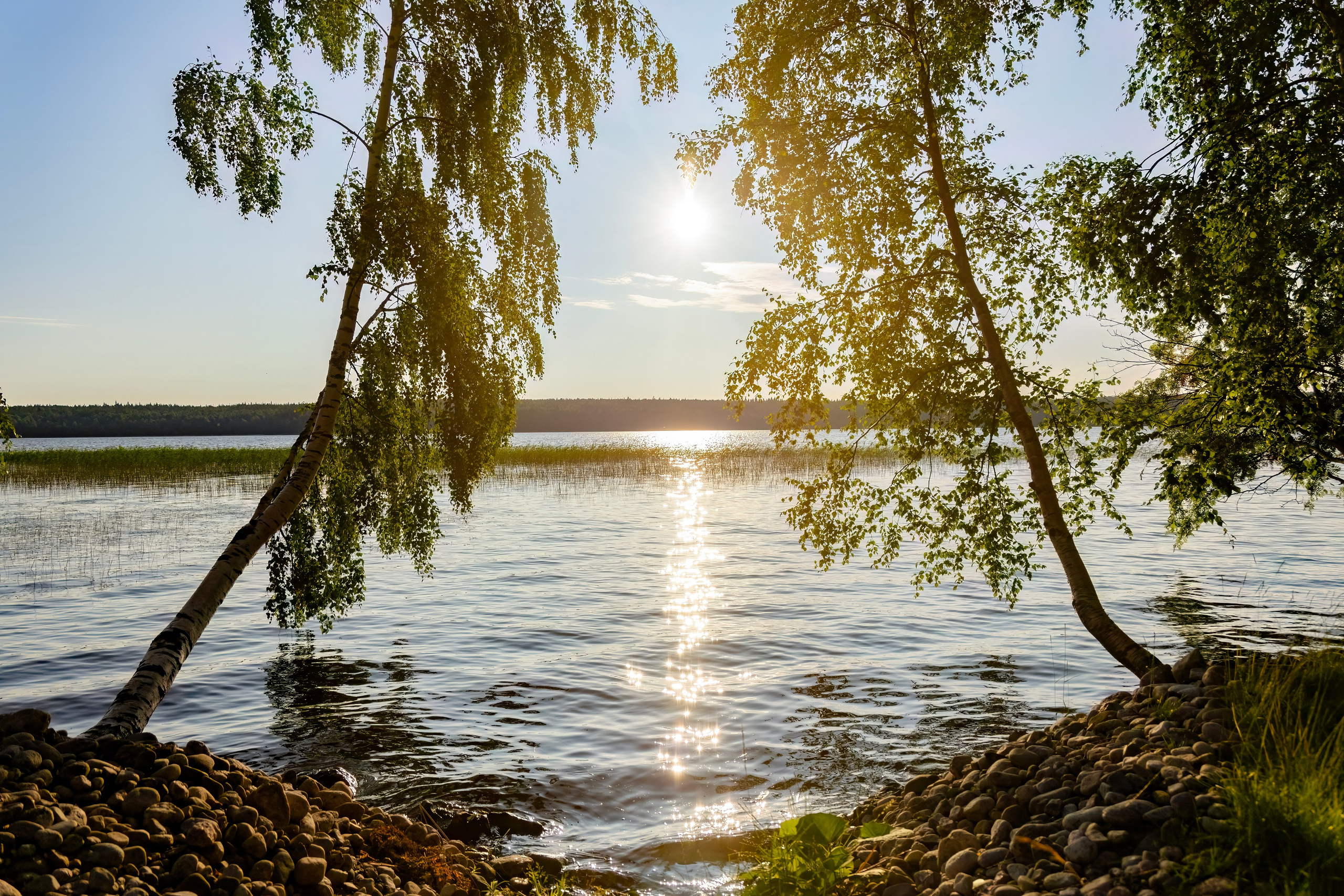 Талви-Кеса. Аэросъемка. Фото и Видео в Карелии. Алексей Фрилунд