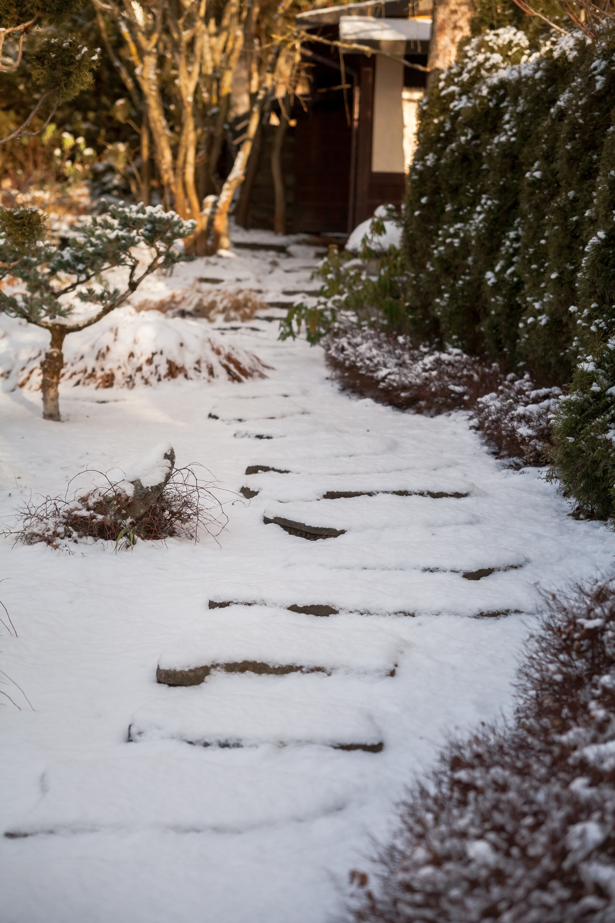 Спящий сад, Елены Асташкиной. Туманов Виталий — фотограф Москва