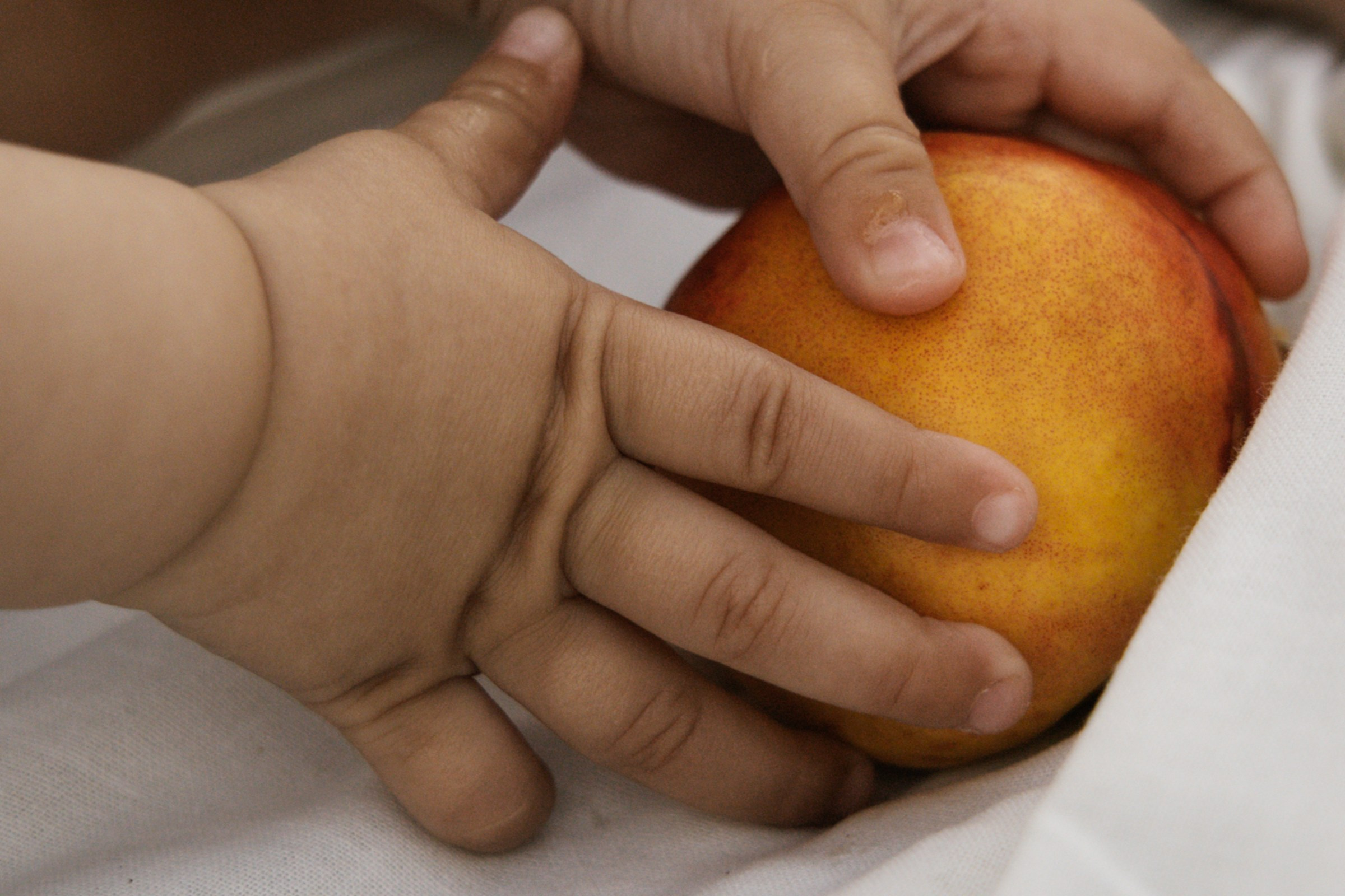 Травяной чилл. Свадебный фотограф Марьям Сайфулина г. Красноярск