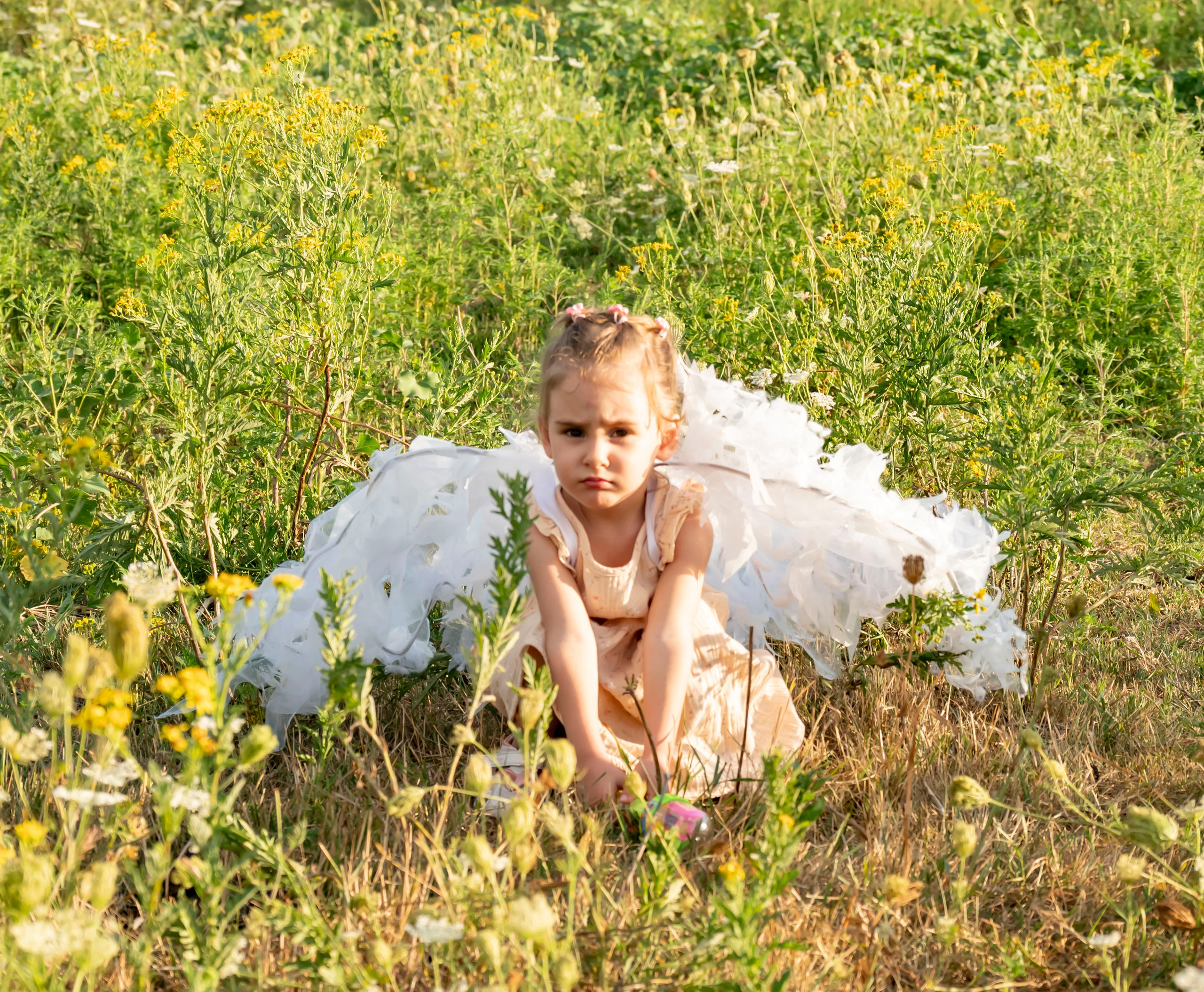 Летняя прогулка. Главная