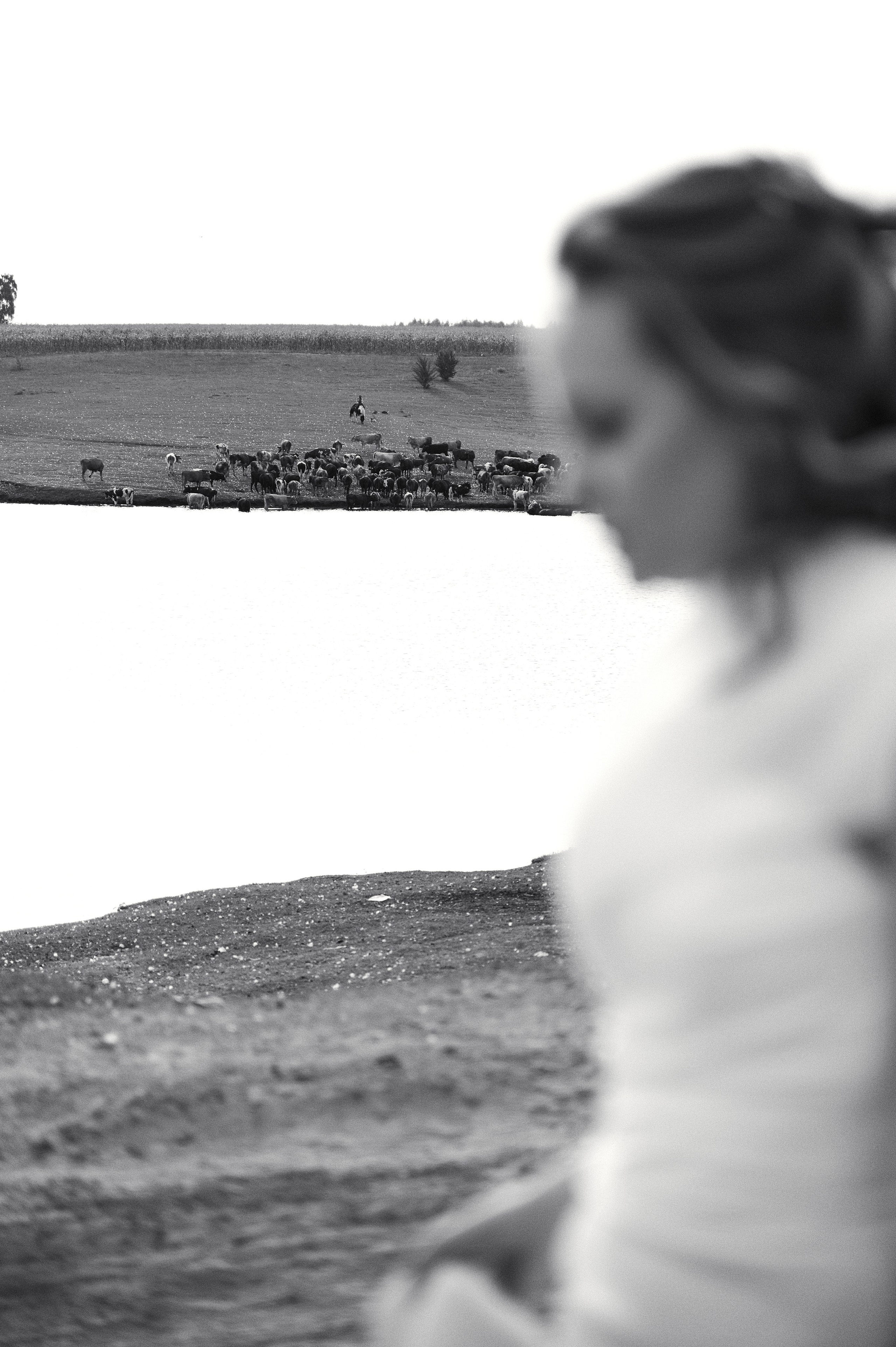 Свадебная съемка Брянск Москва Свадебный фотограф фотограф на свадьбу  фотограф Орел. Свадебный и портретный фотограф в Брянске Скепская Лилия