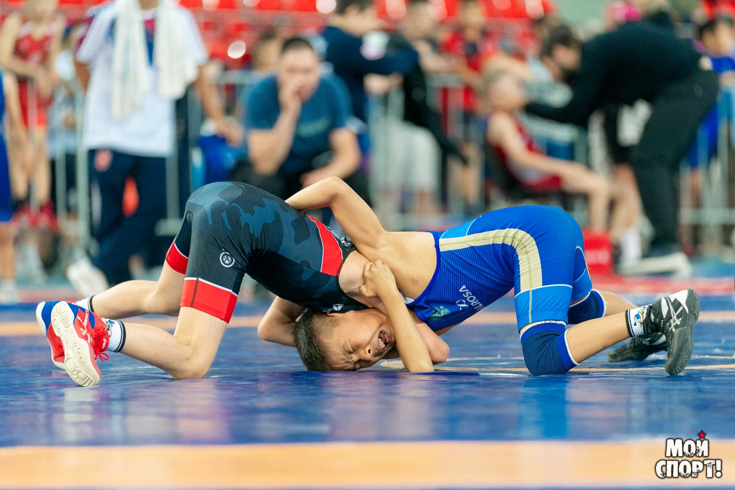 Международный, всероссийский и республиканский турниры по вольной борьбе среди юношей в честь П. П. Пинигина. Студия «Мой Спорт!» — все о спорте в Якутии