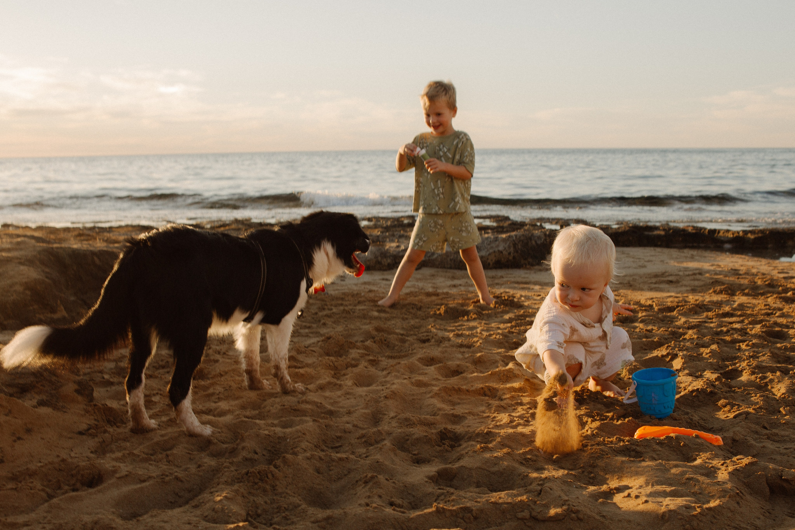 Melymko fam. Portrait, family and pet photographer in Cyprus, Ksenia Bourdelle