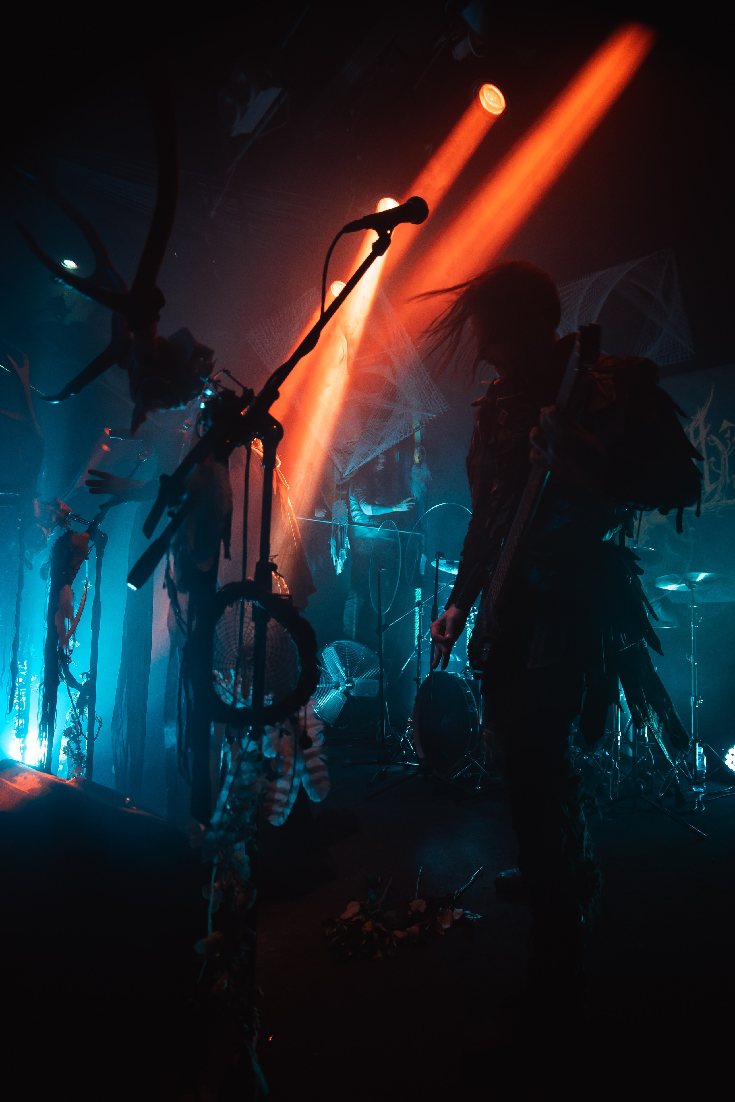 Мещера, Эрмитаж, 22.02.2026. Фотограф Регина Крикунова г. Красноярск