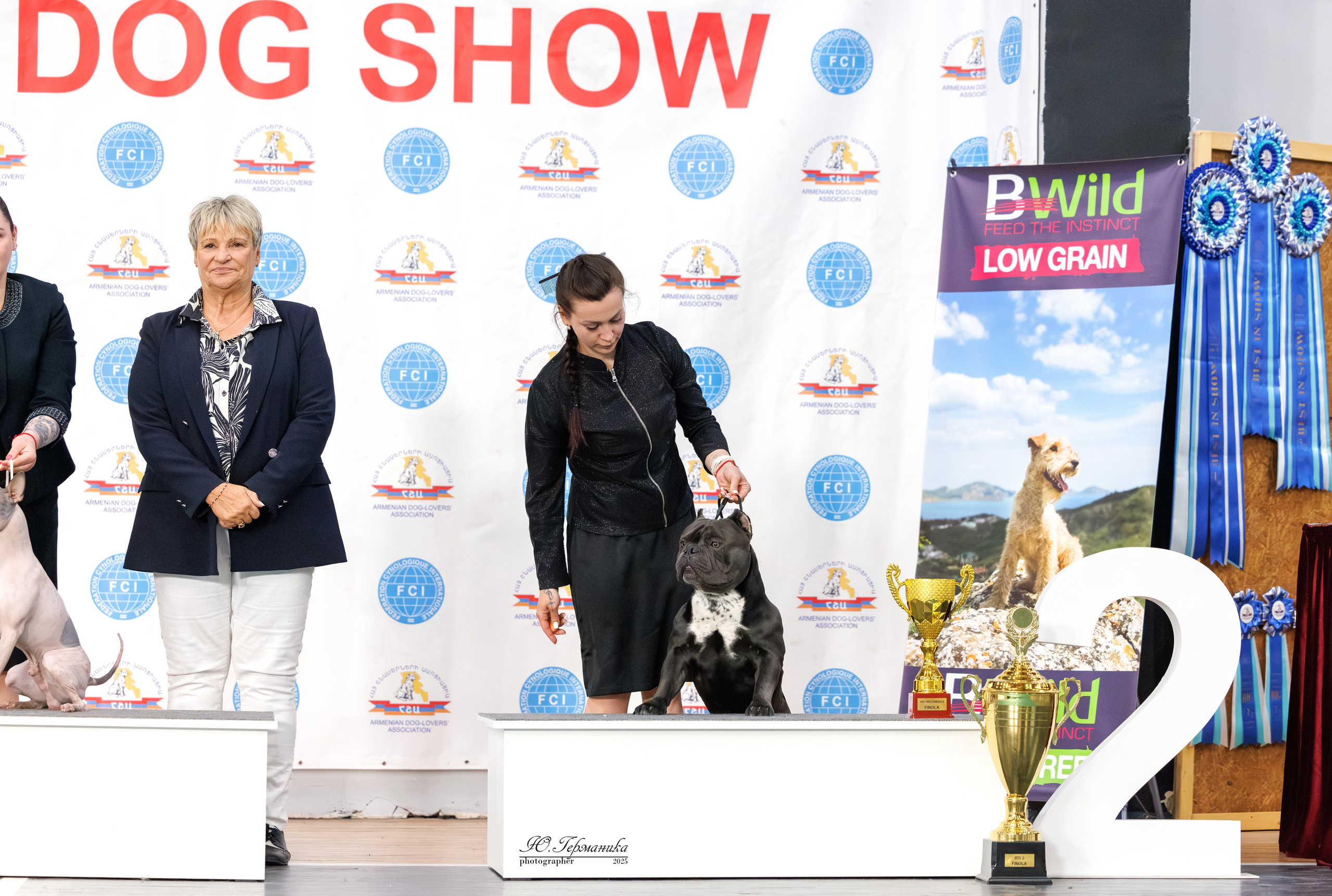 Ереван 2х CACIB 29-30.04.2025. Фотограф-анималист Юлия Германика