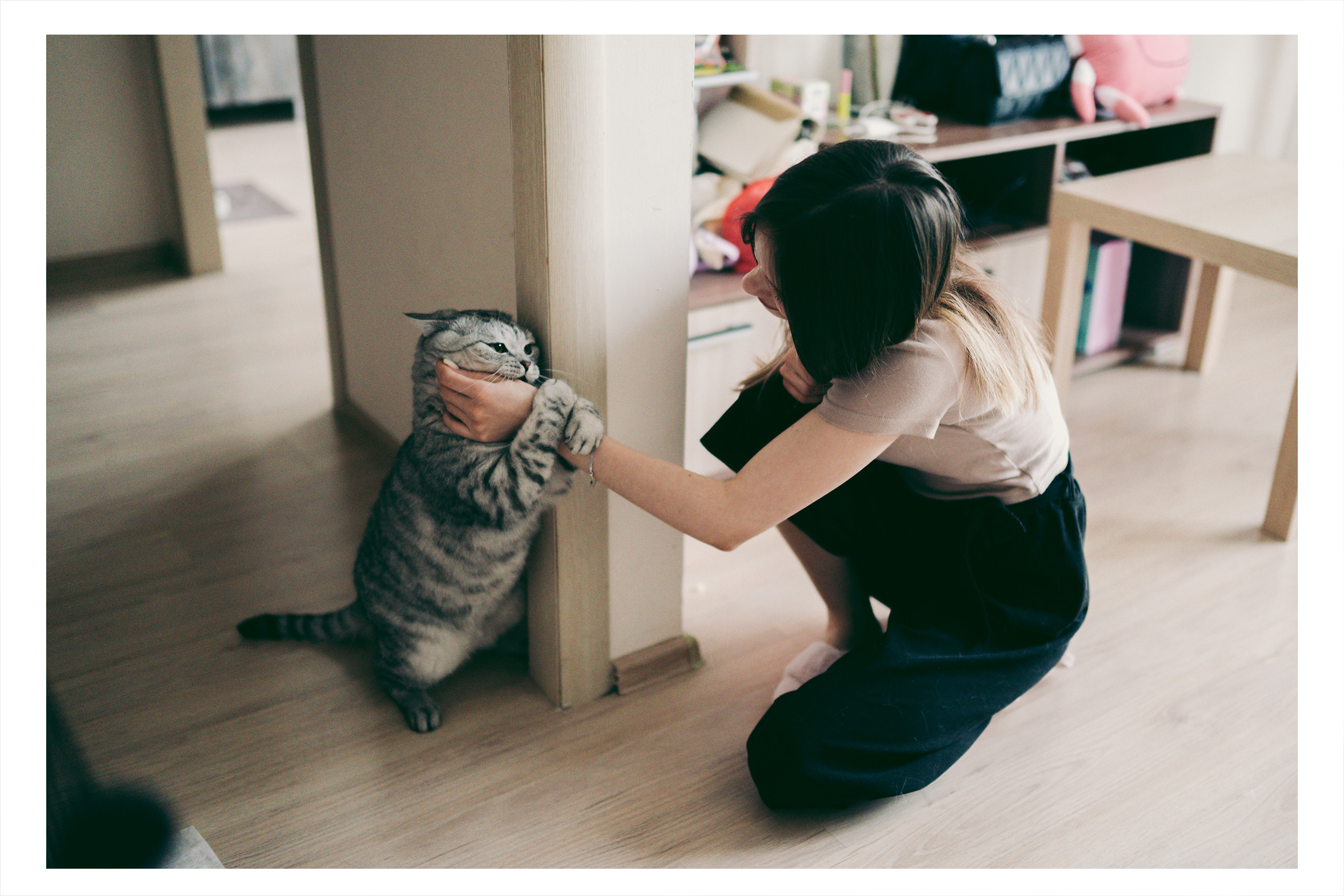 Я котик, ты котик. Фотограф Владимир Орлов