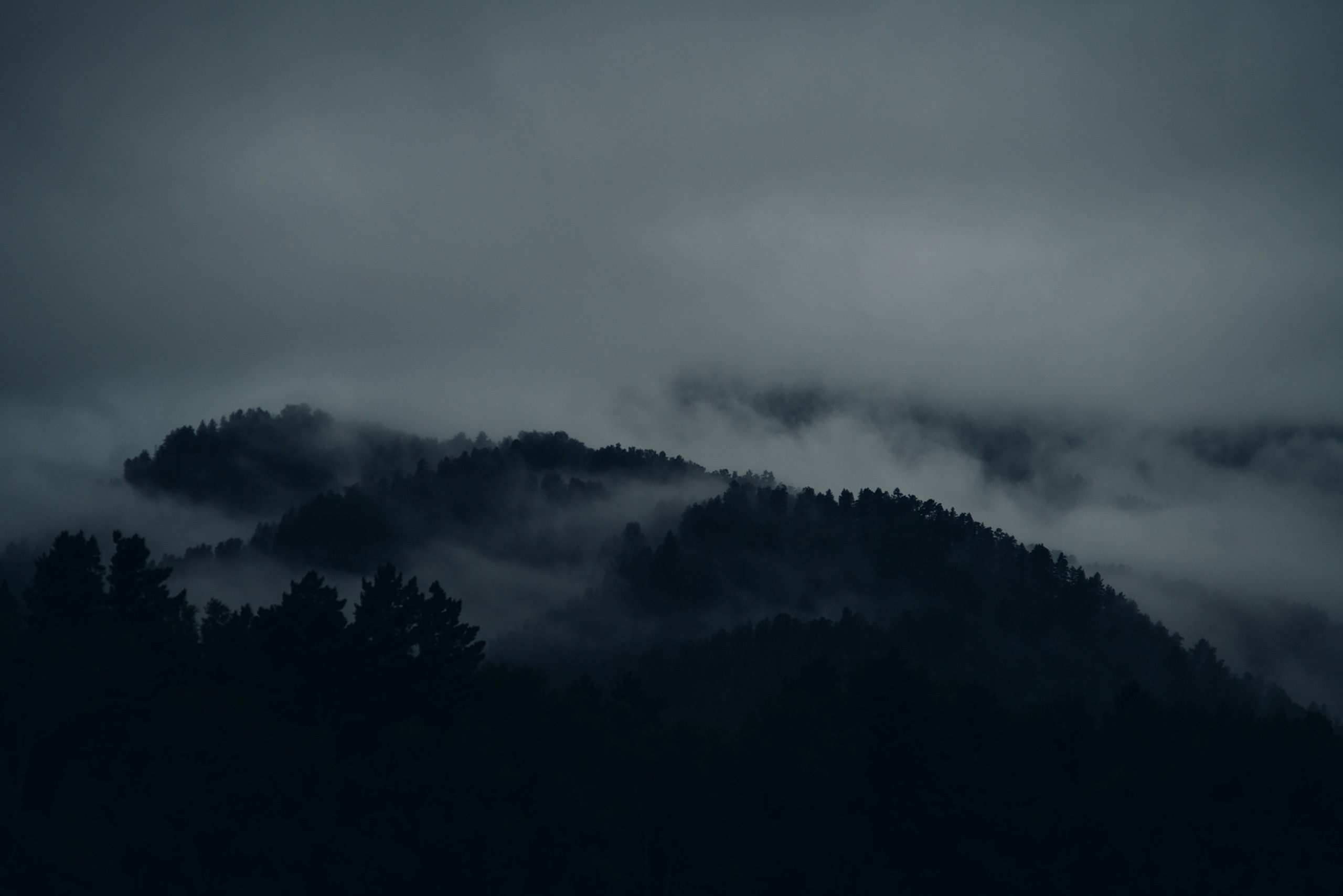 Алтай, август 2023, туманчик. Фотограф Владимир Орлов