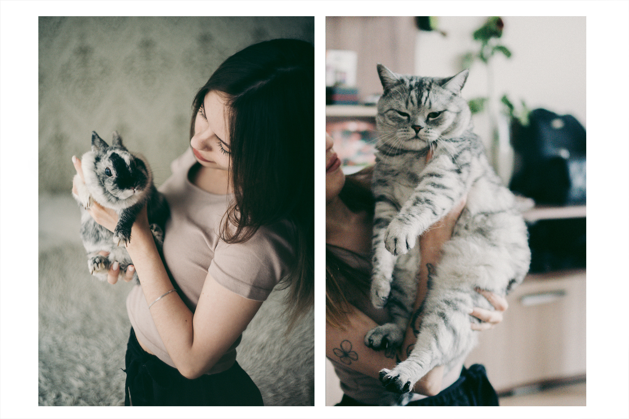 Я котик, ты котик. Фотограф Владимир Орлов