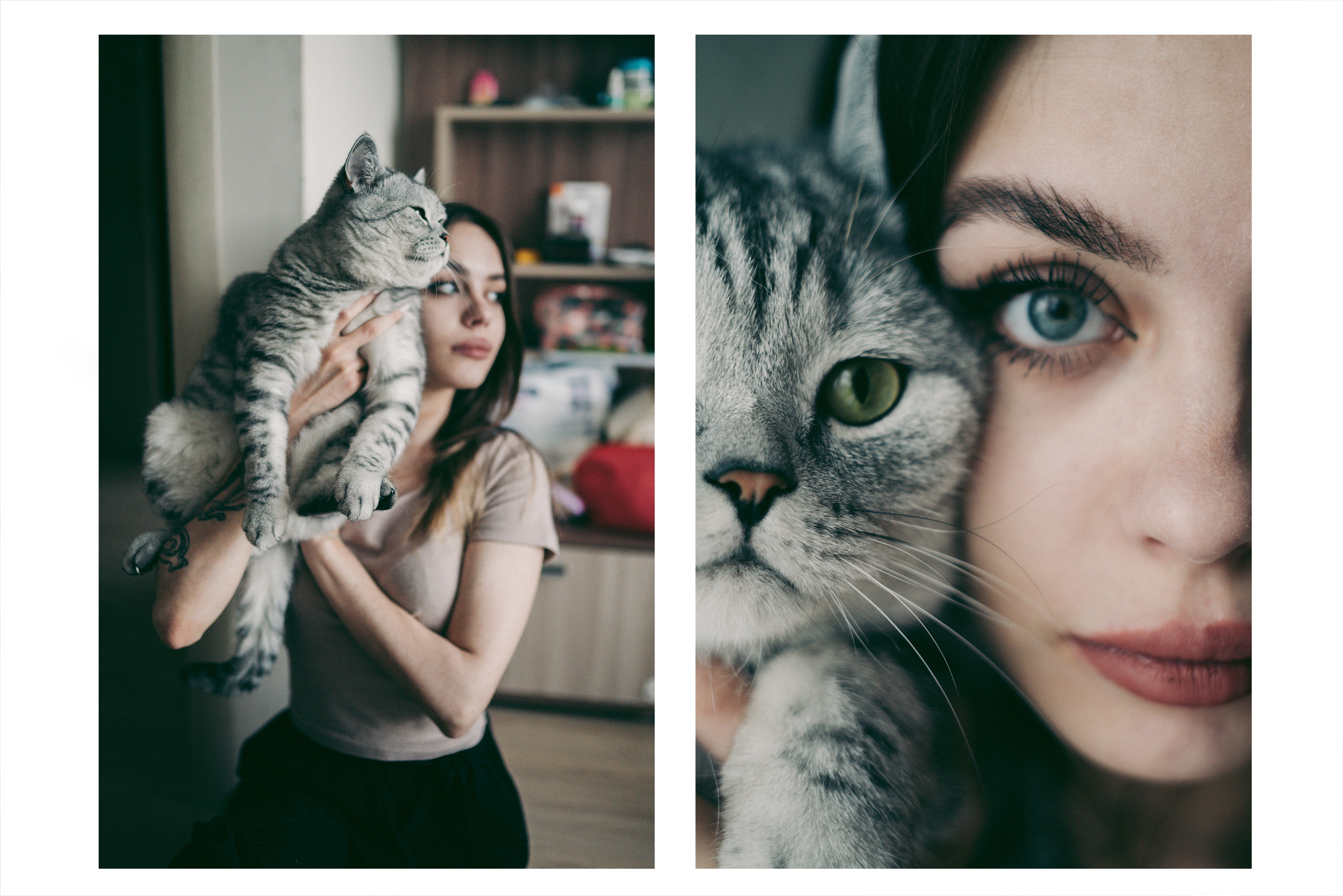 Я котик, ты котик. Фотограф Владимир Орлов