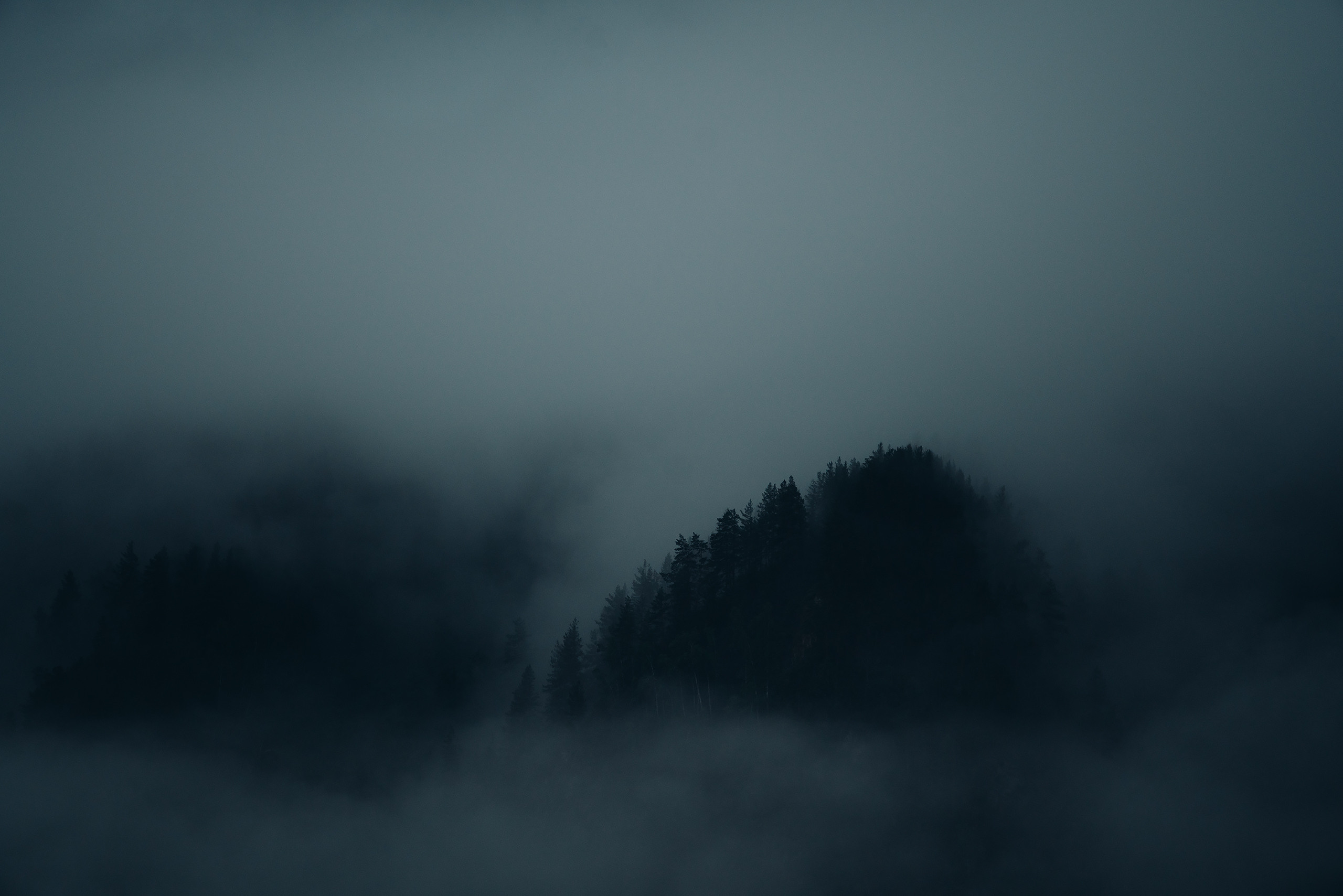 Алтай, август 2023, туманчик. Фотограф Владимир Орлов