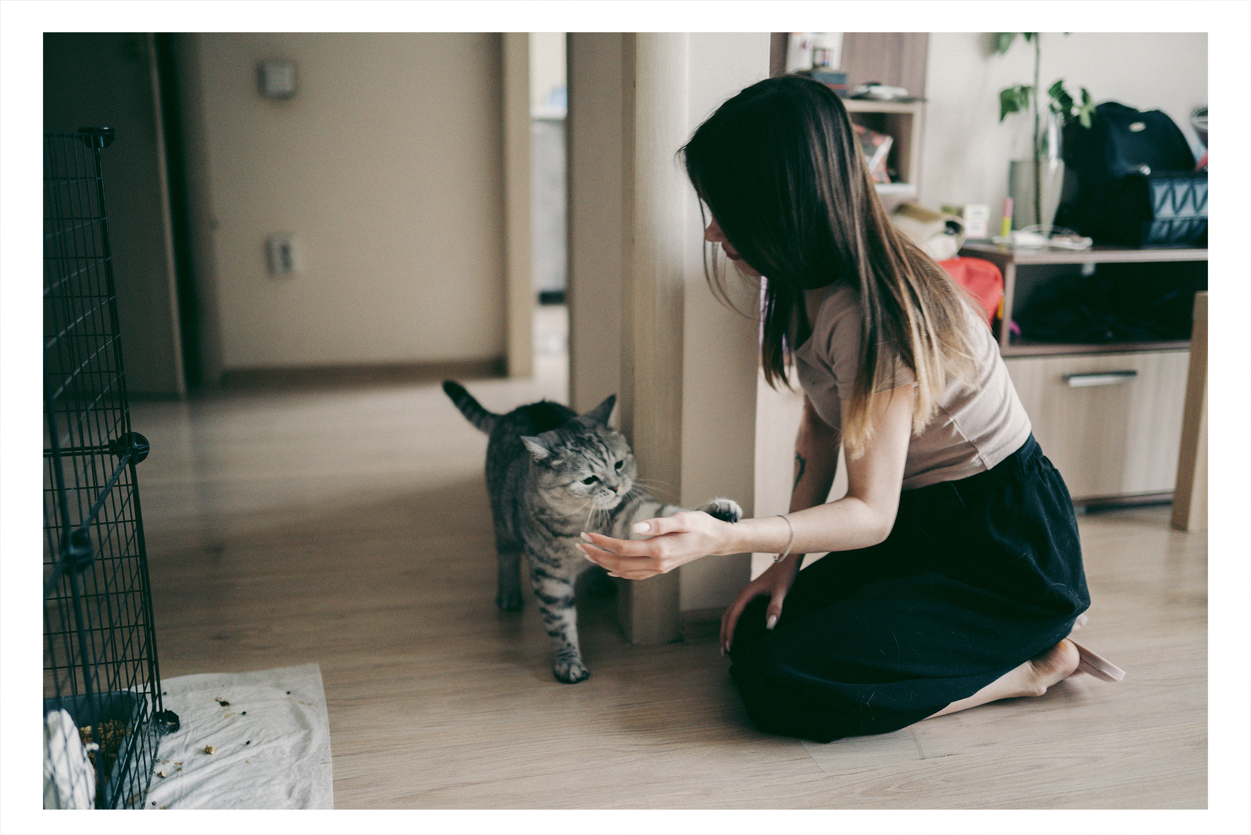 Я котик, ты котик. Фотограф Владимир Орлов