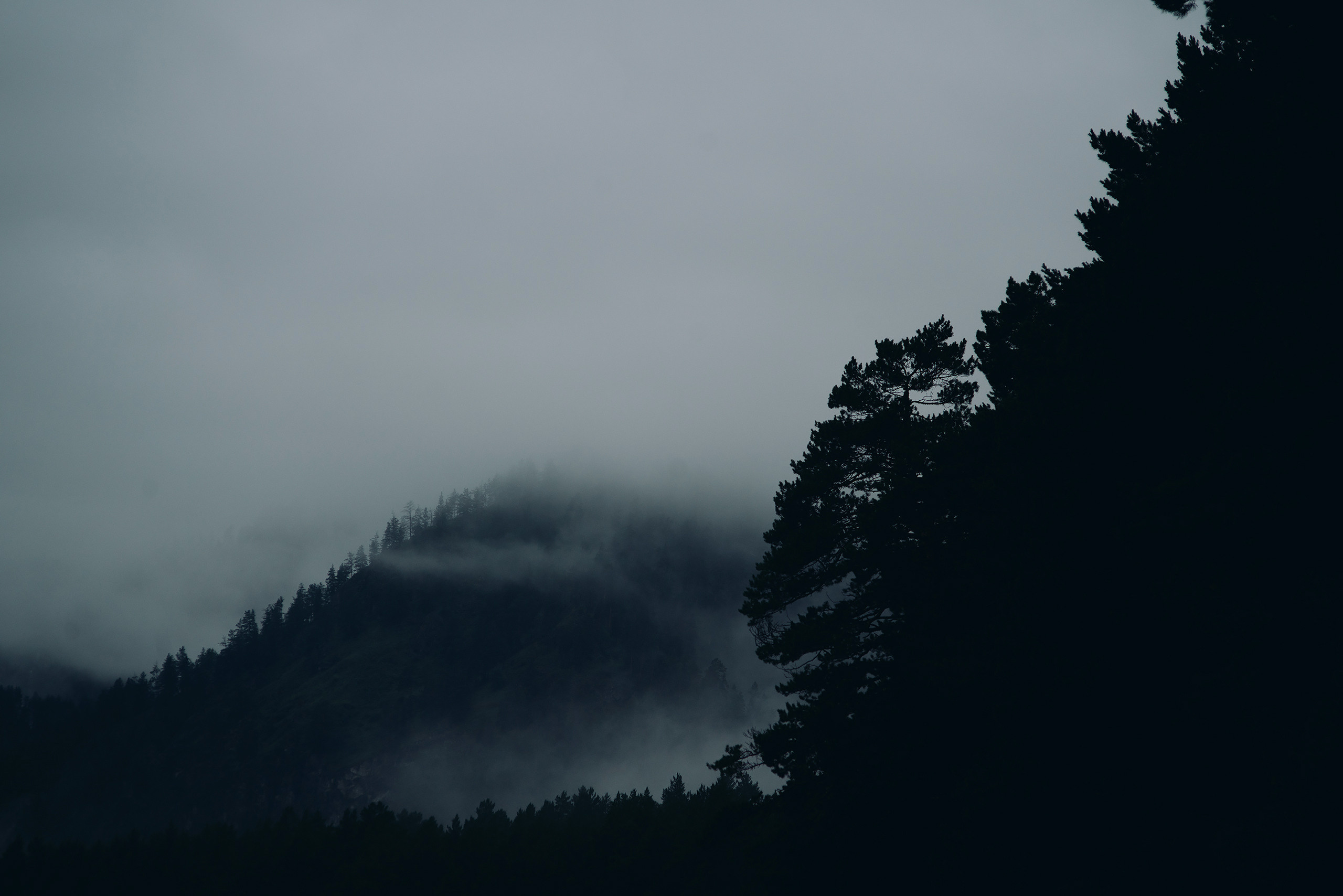 Алтай, август 2023, туманчик. Фотограф Владимир Орлов