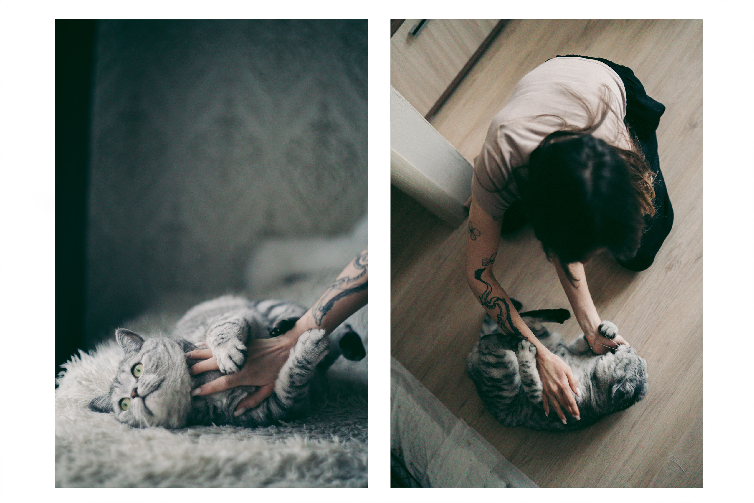 Я котик, ты котик. Фотограф Владимир Орлов