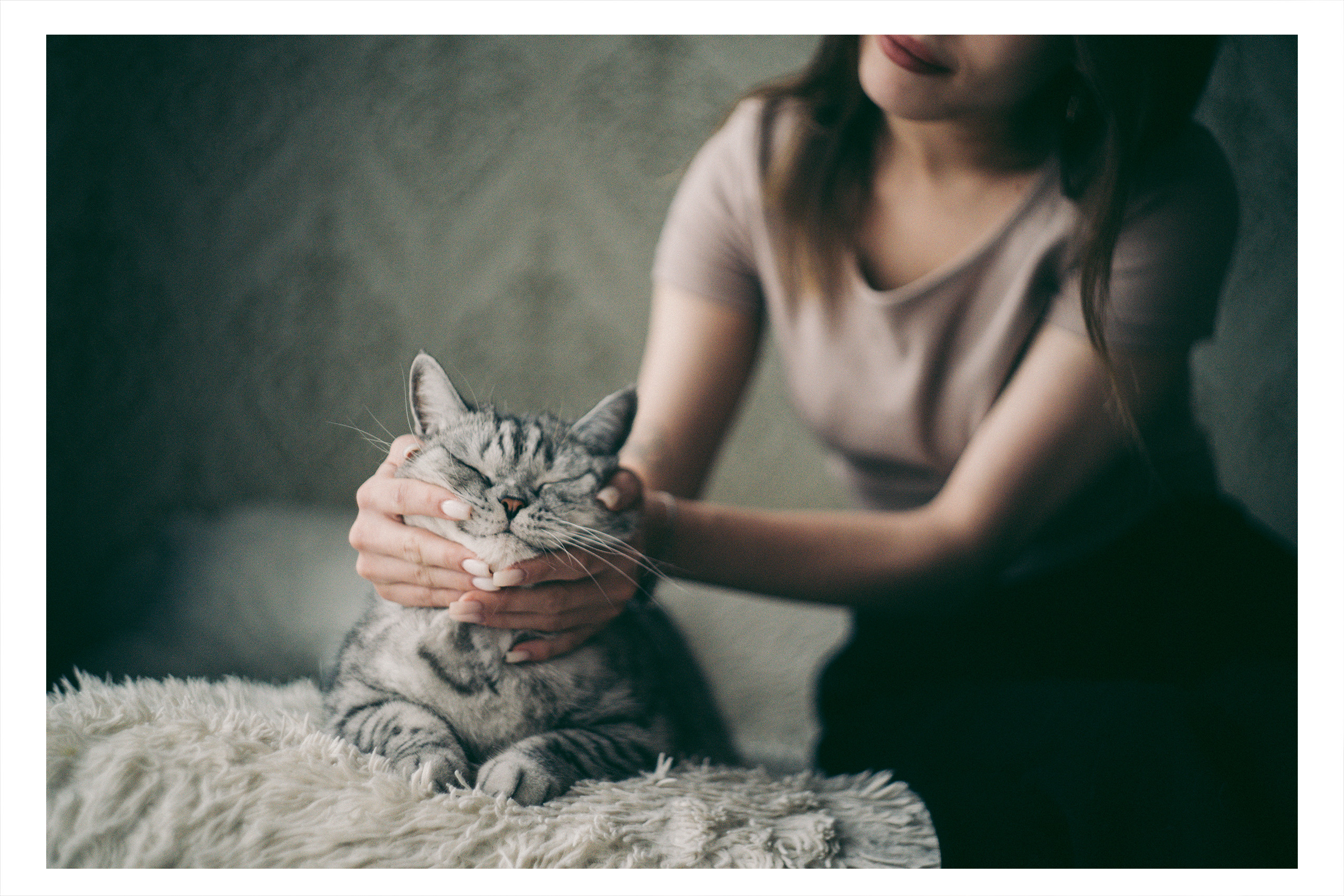 Я котик, ты котик. Фотограф Владимир Орлов