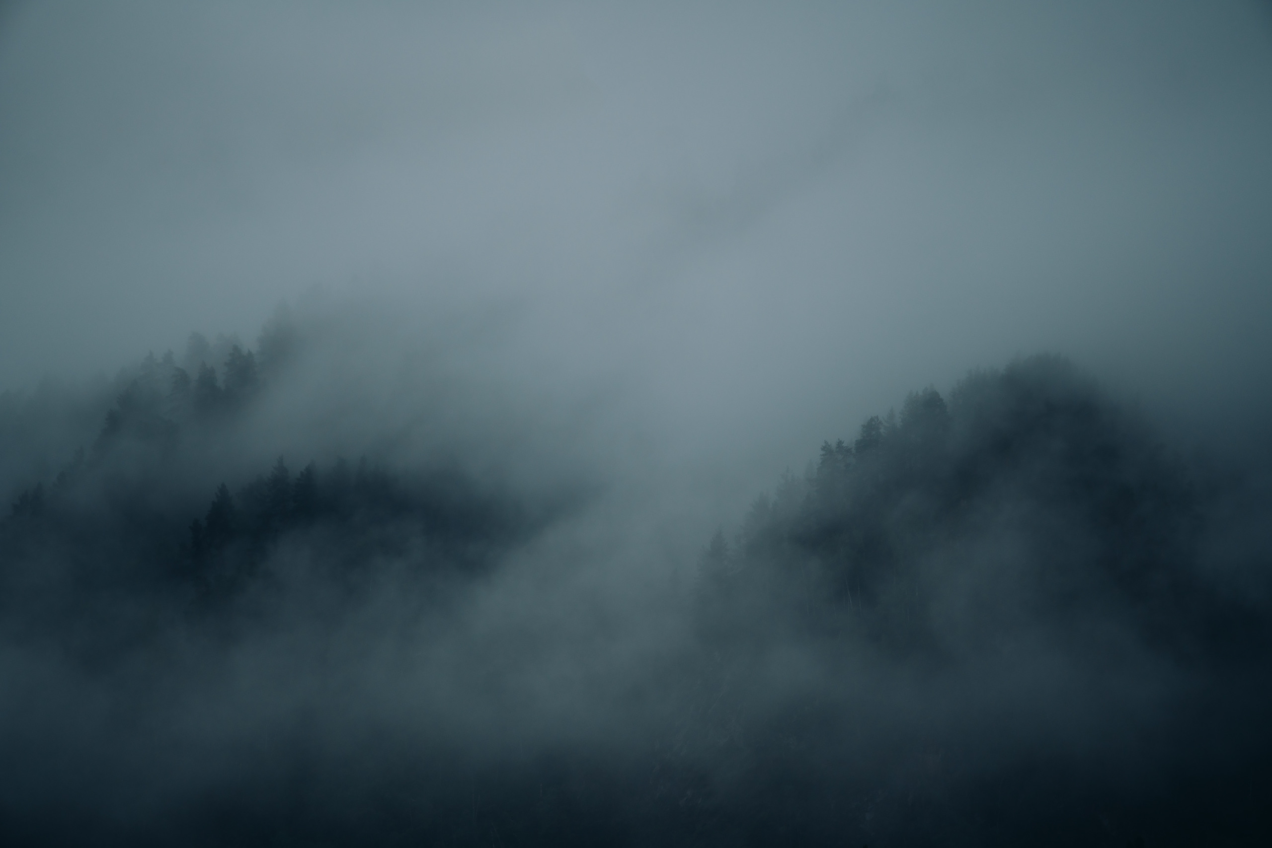 Алтай, август 2023, туманчик. Фотограф Владимир Орлов