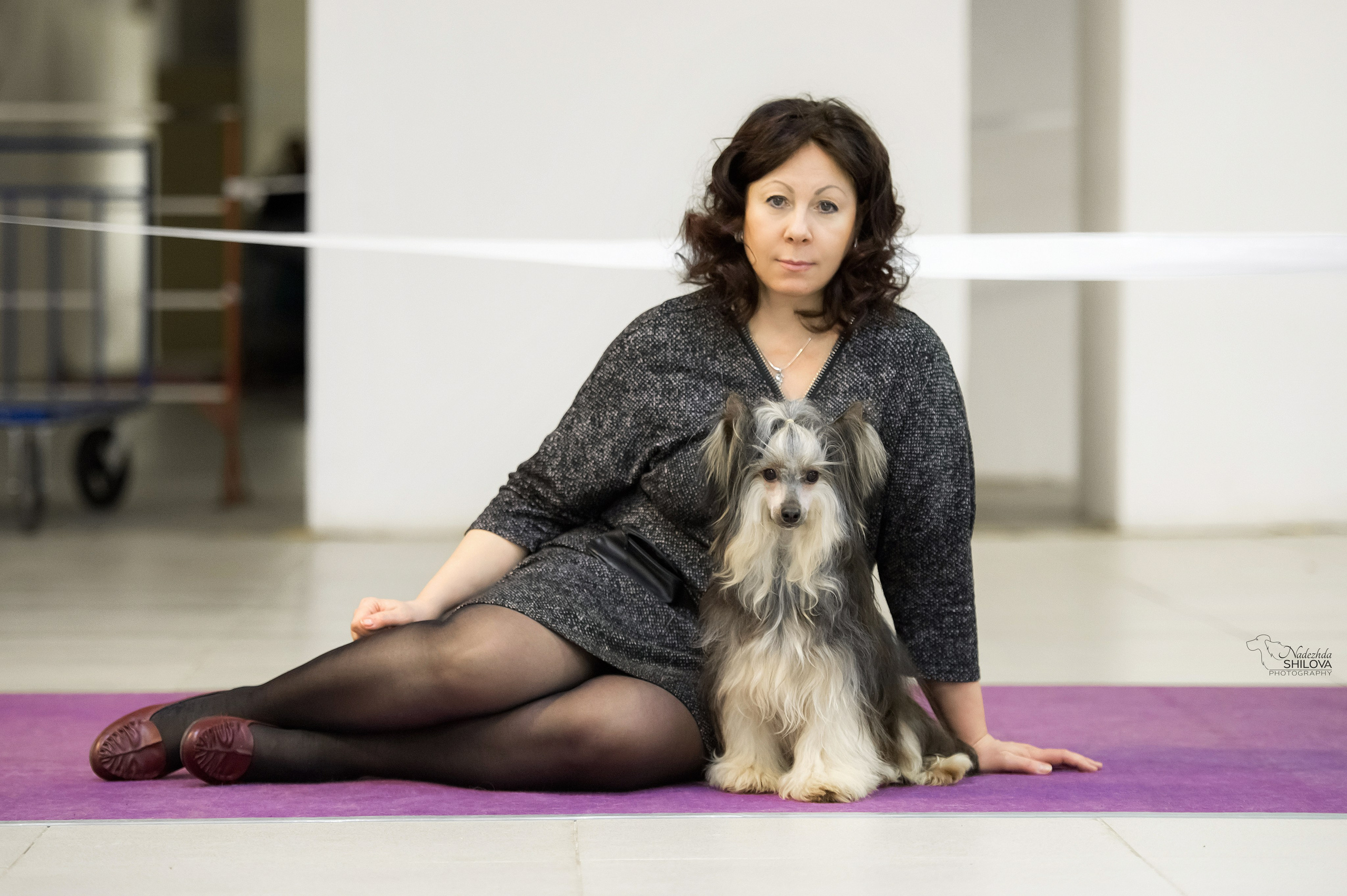 Poale Ell Bazhen. Chinese Crested Dog Kennel Poale Ell