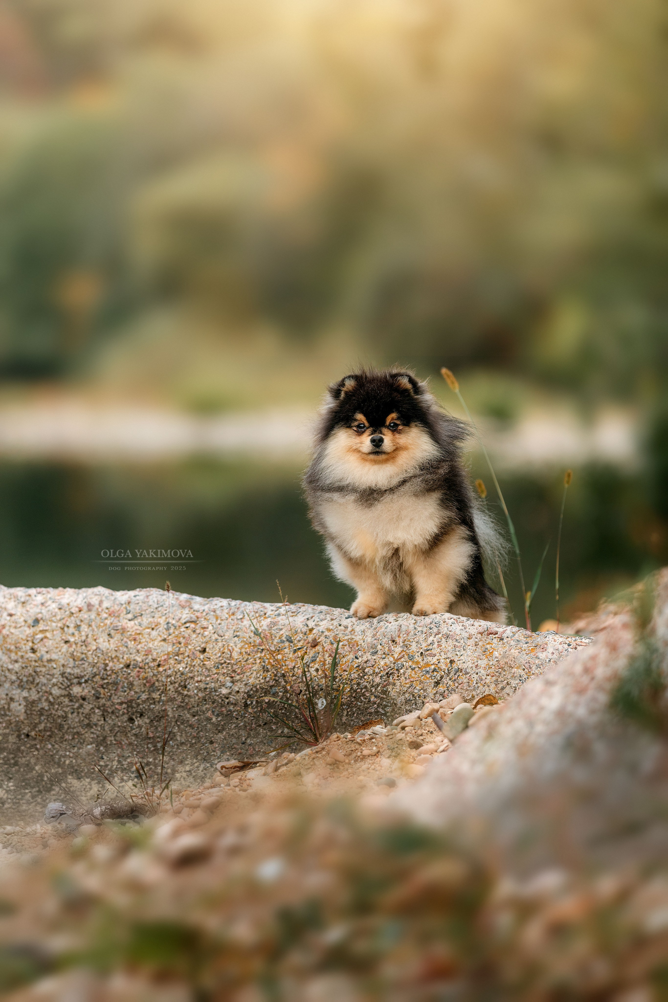 Экстерьер. Фотограф