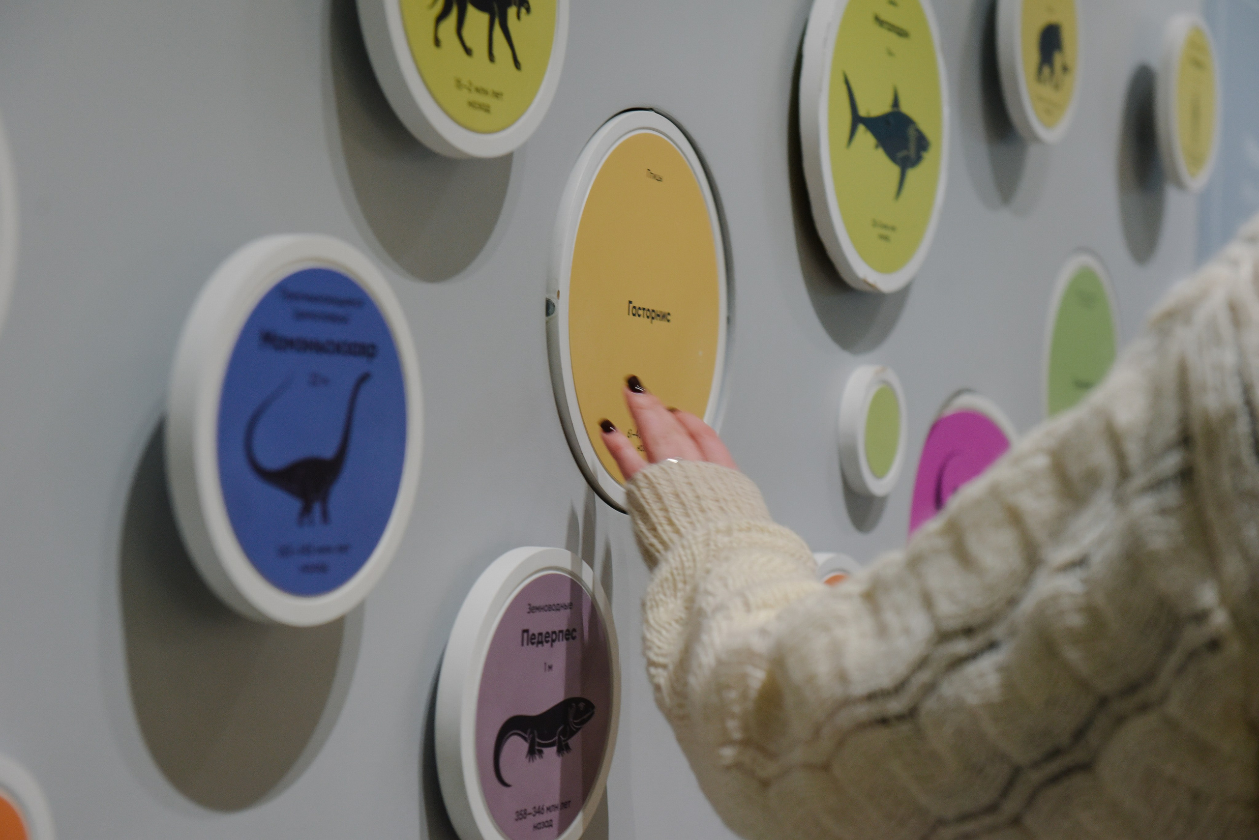 Московские Гостиные Планетарий. Фотограф Лола Волна, город Москва