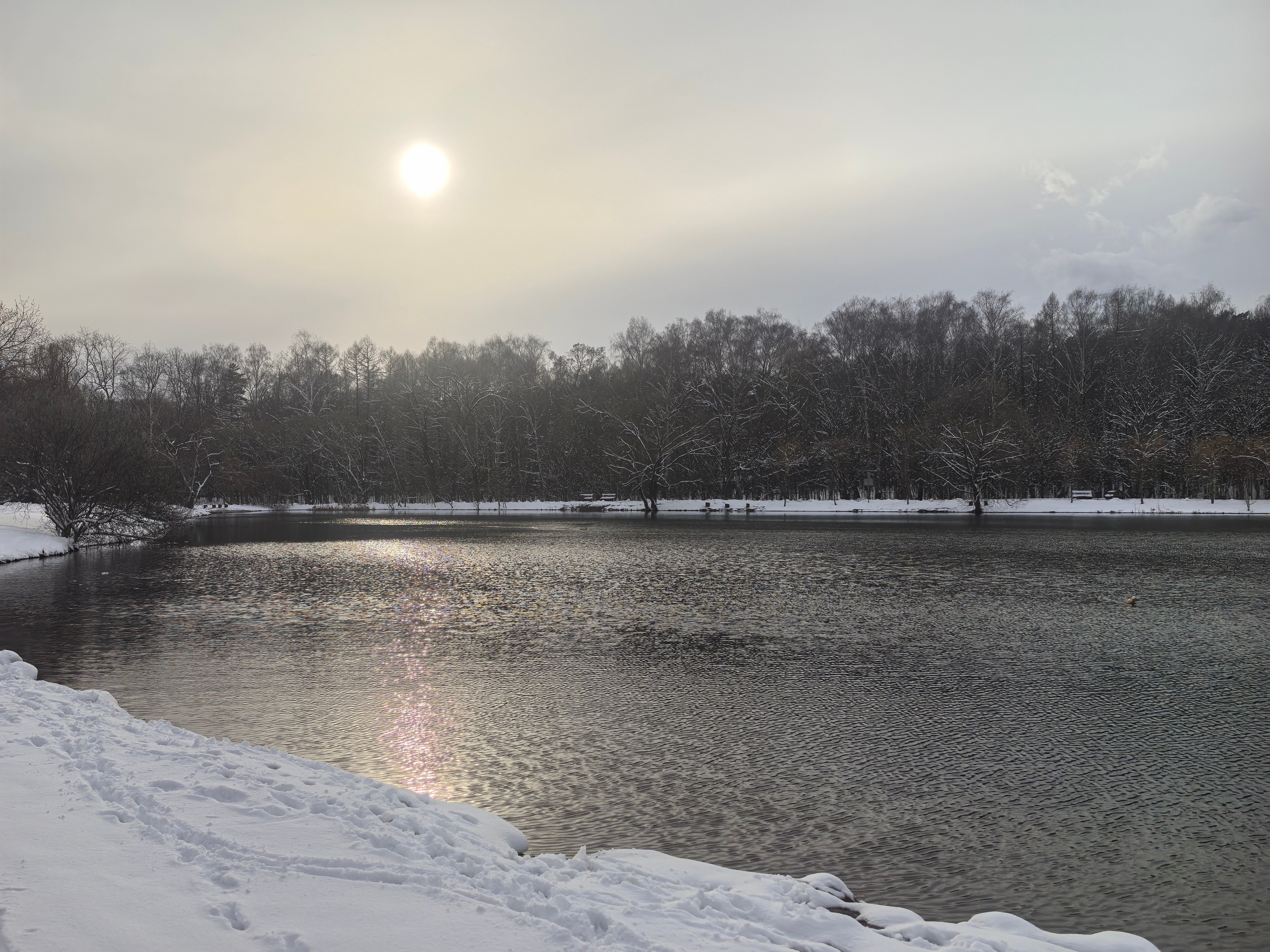 Покровско-Стрешнево. Школьные выпускные альбомы в Москве Марина Николаева