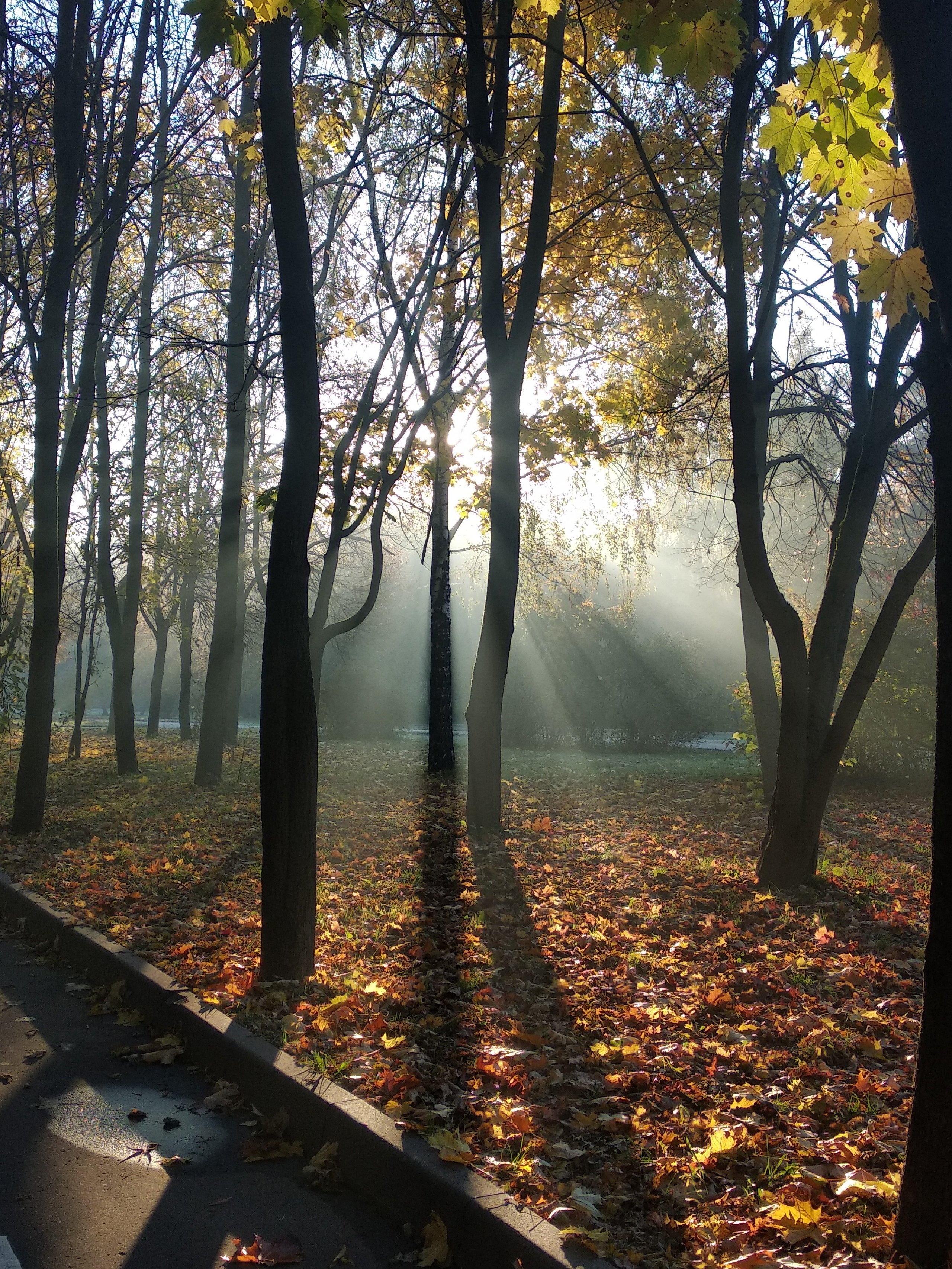 Чудесная природа. Школьные выпускные альбомы в Москве Марина Николаева