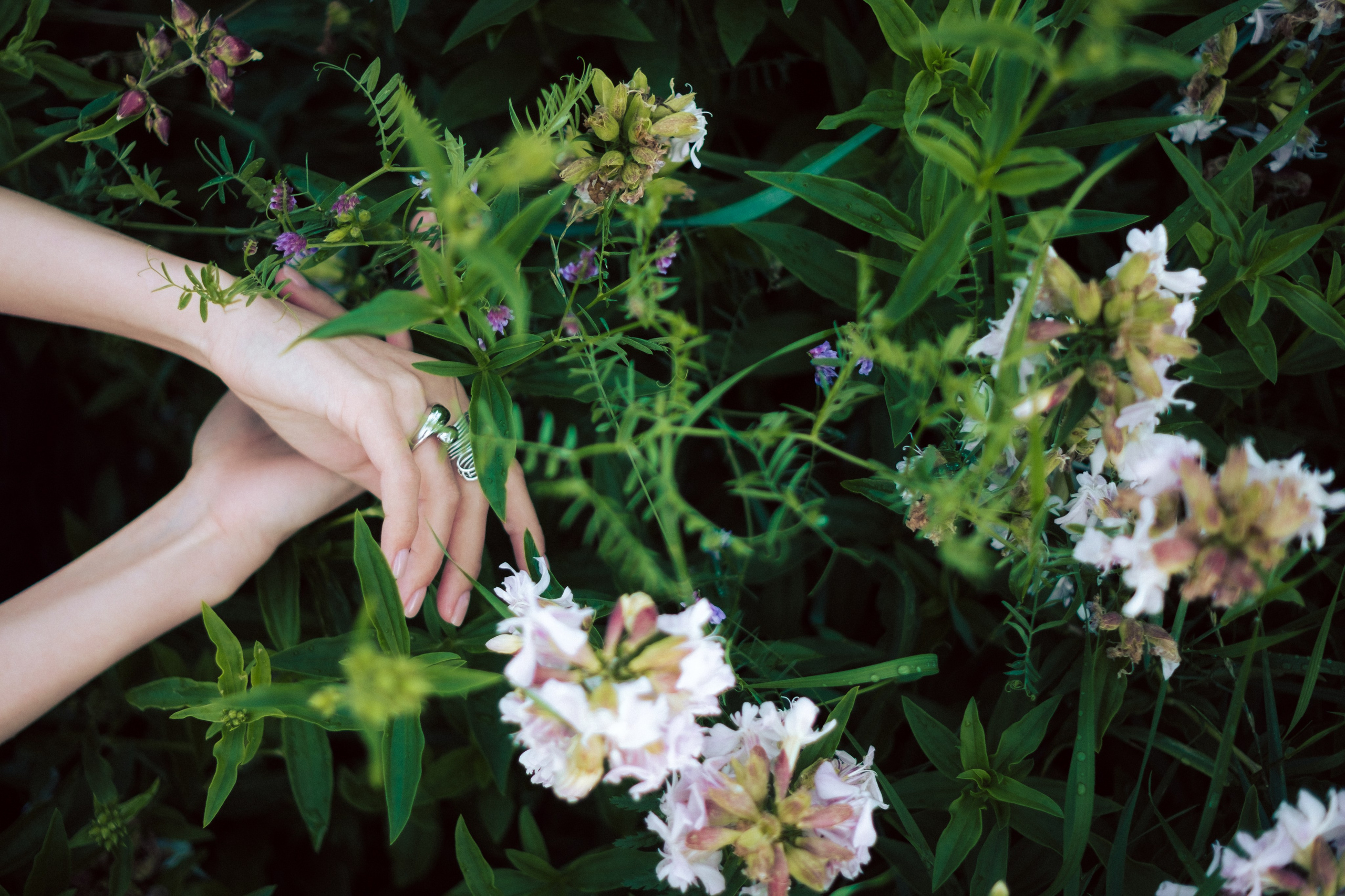 Луиза. Съёмка на заливе. Lickord